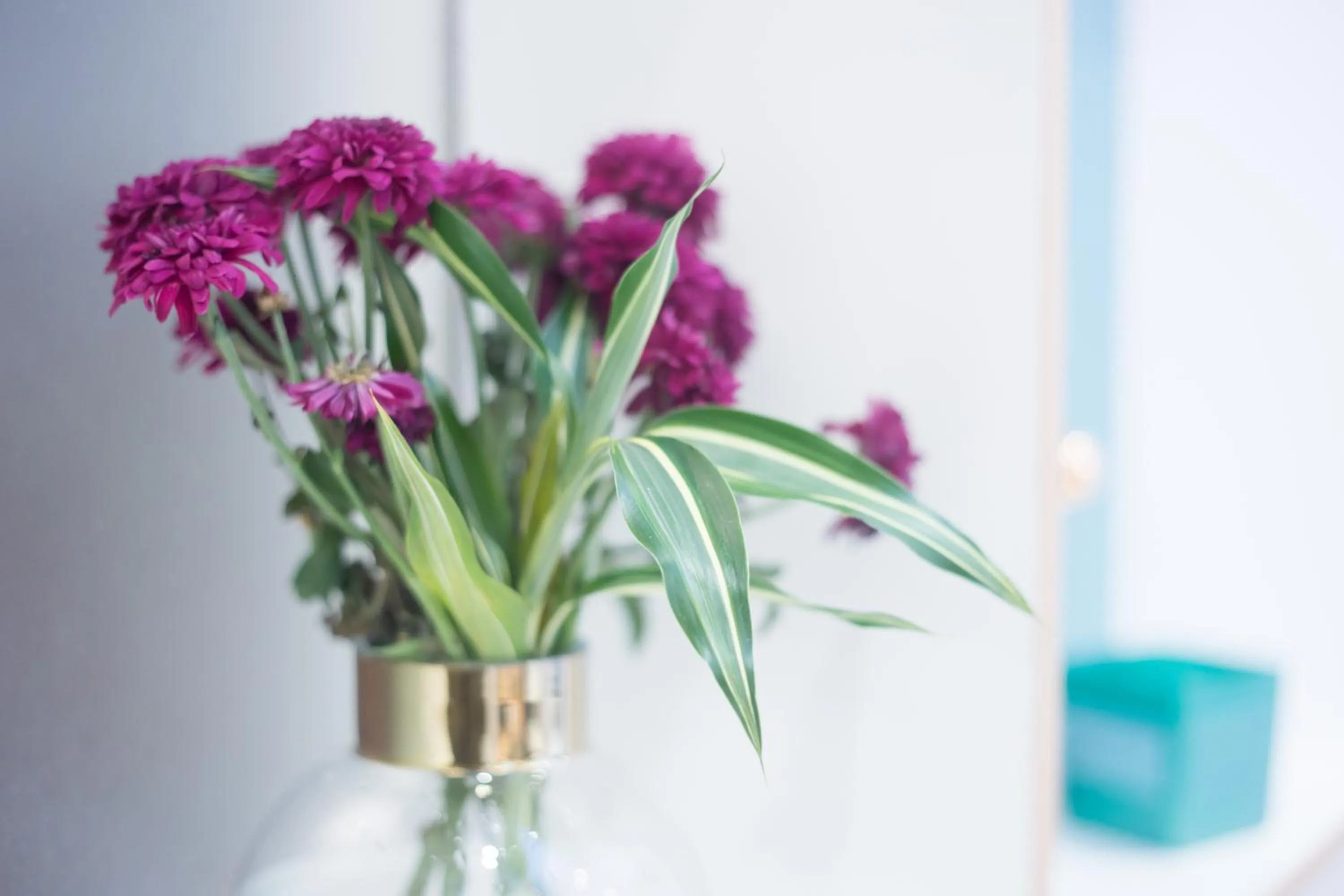 Lobby or reception in Wardonia Hotel Kings Cross