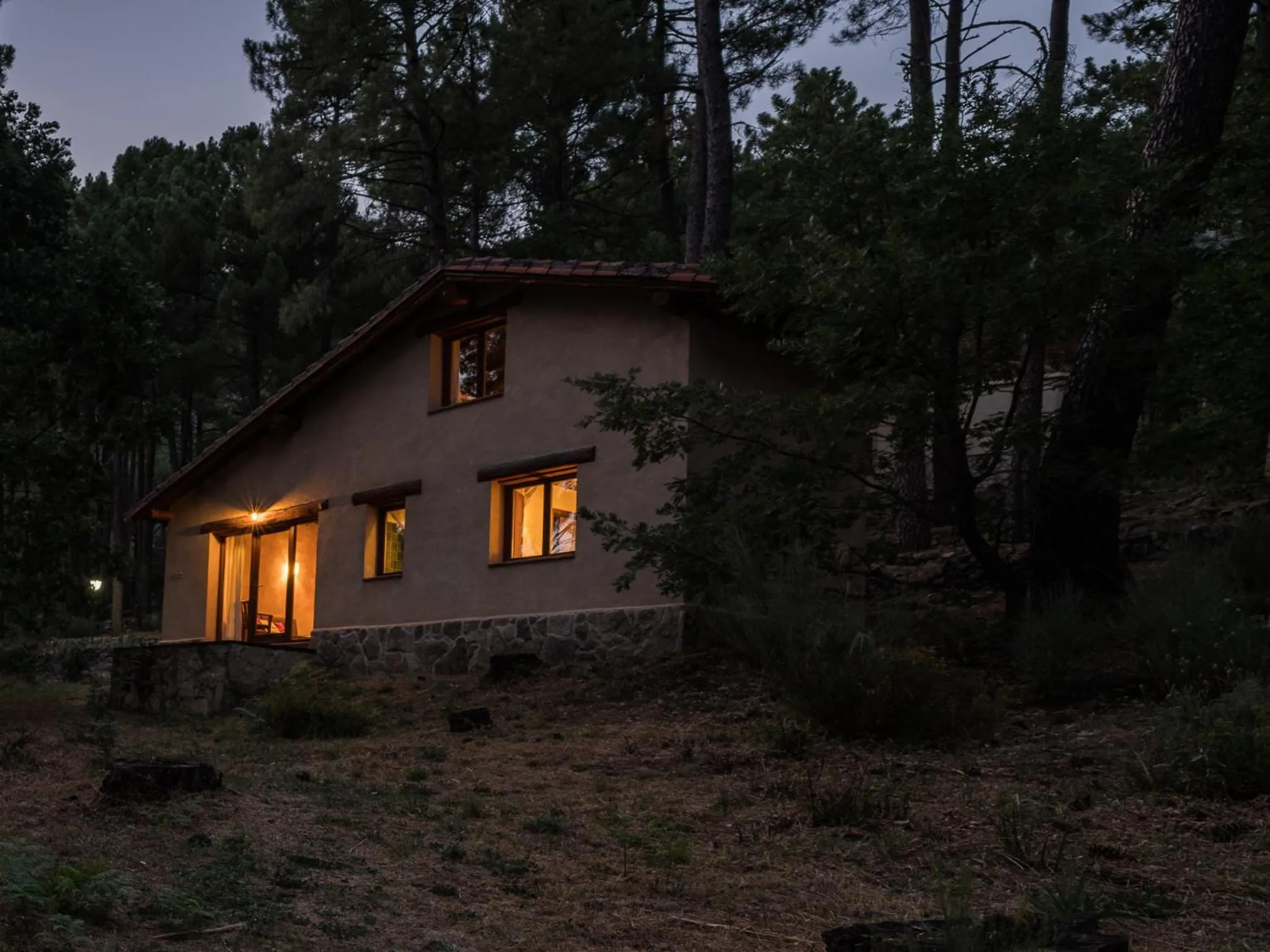 Photo of the whole room in Lo Alto