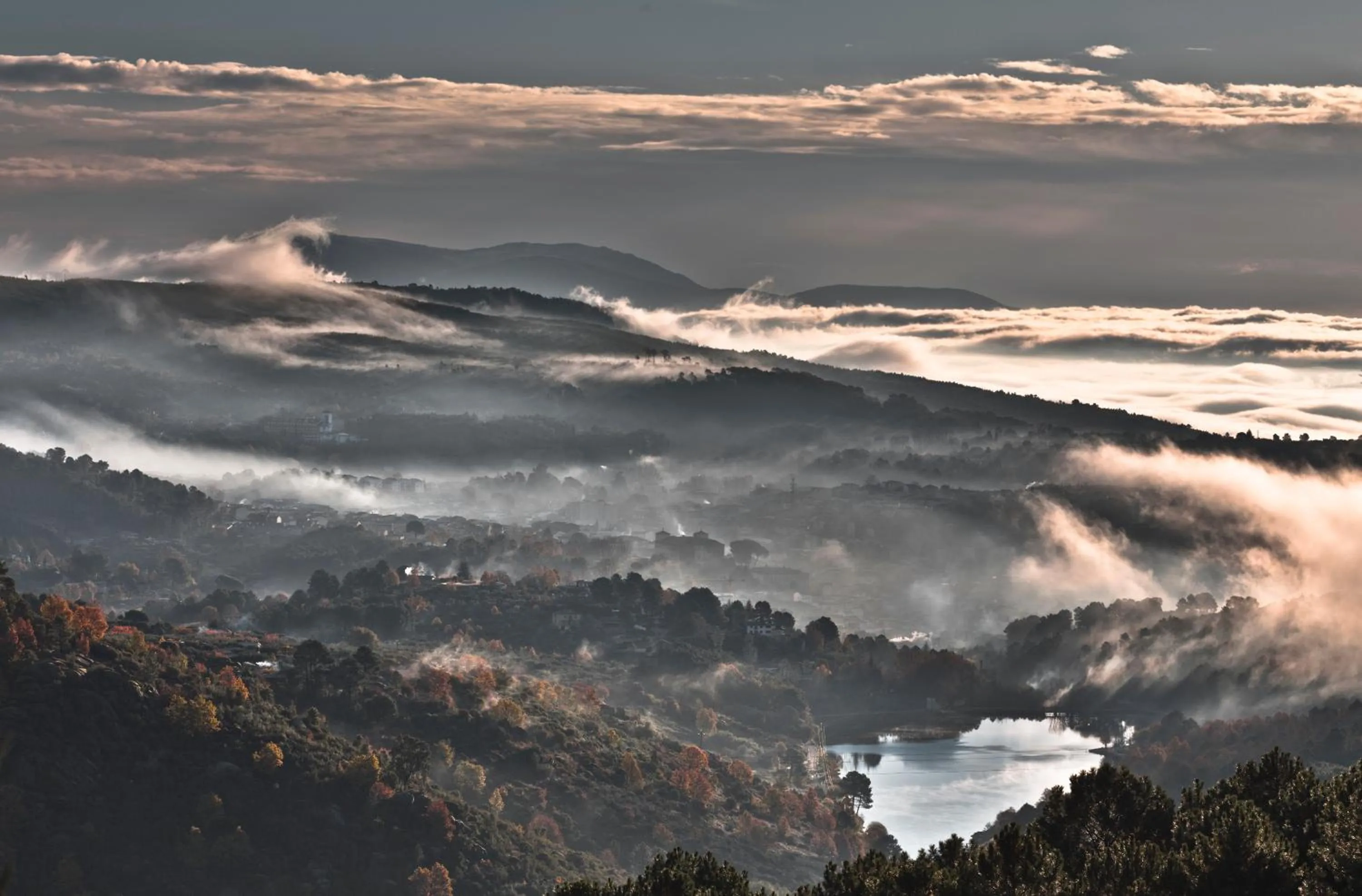 Bird's eye view in Lo Alto