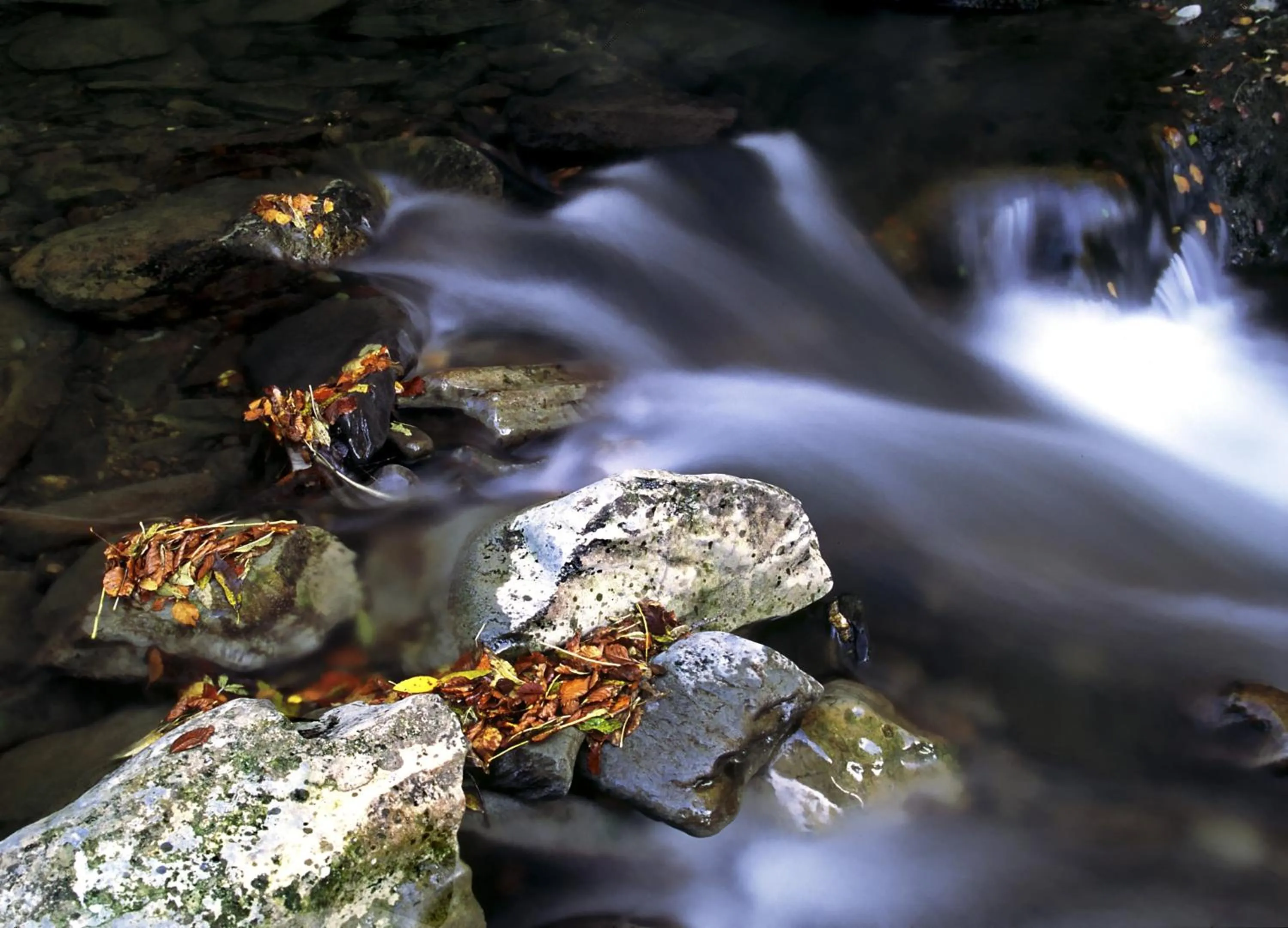 Decorative detail in Lo Alto