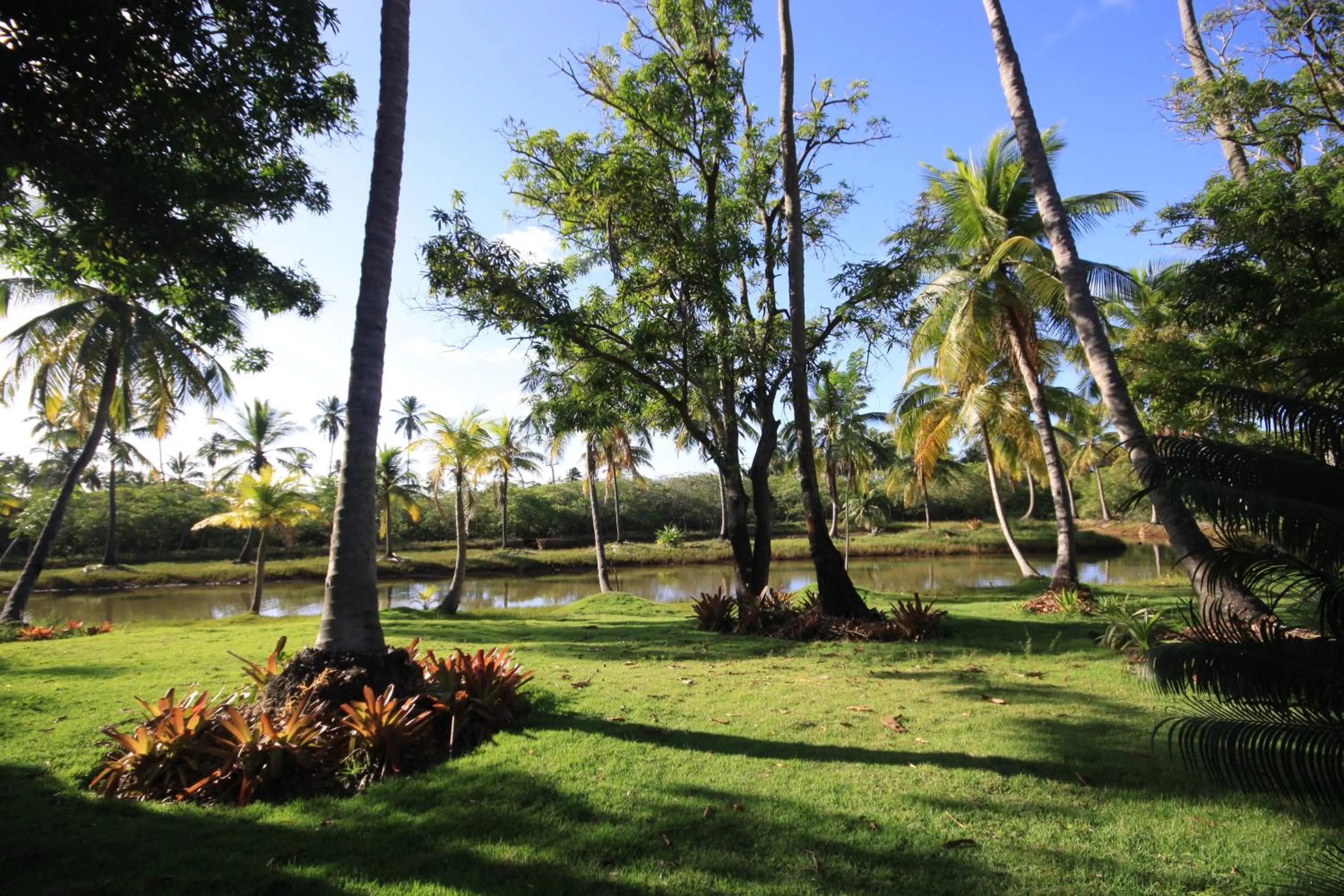 Garden in Eco Pousada Paraíso dos Coqueirais