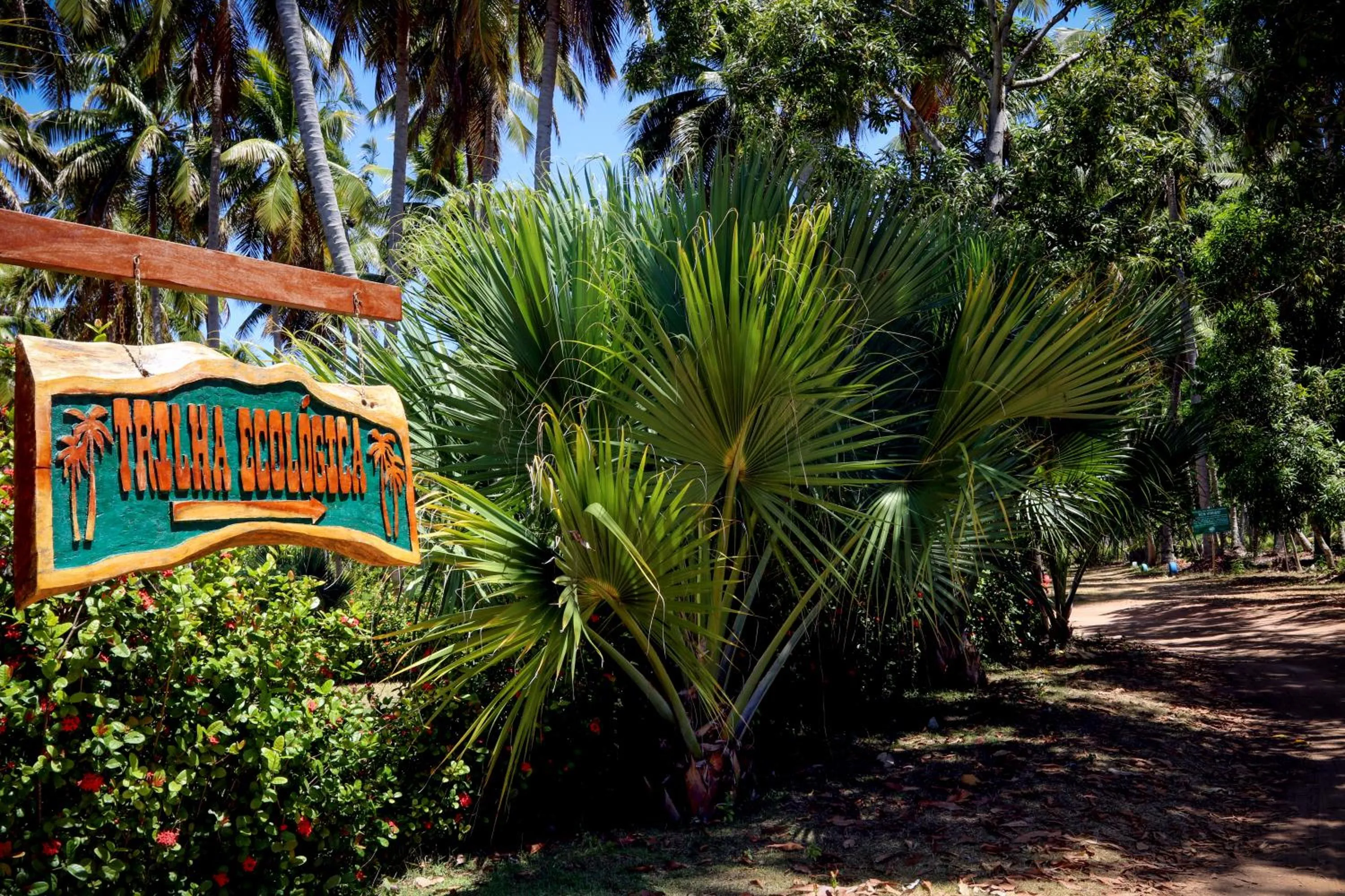 Activities in Eco Pousada Paraíso dos Coqueirais