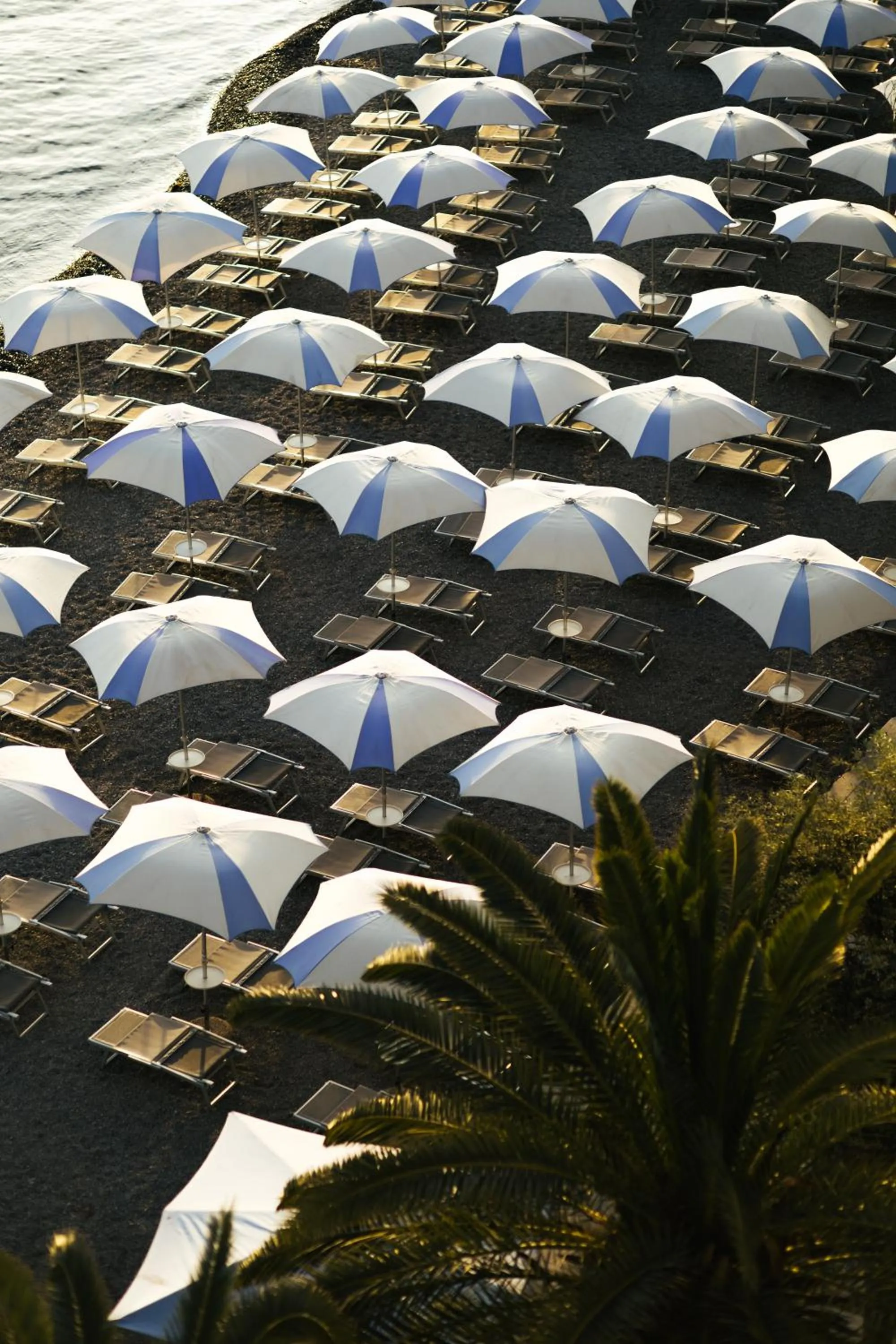 Beach in Hotel Palma