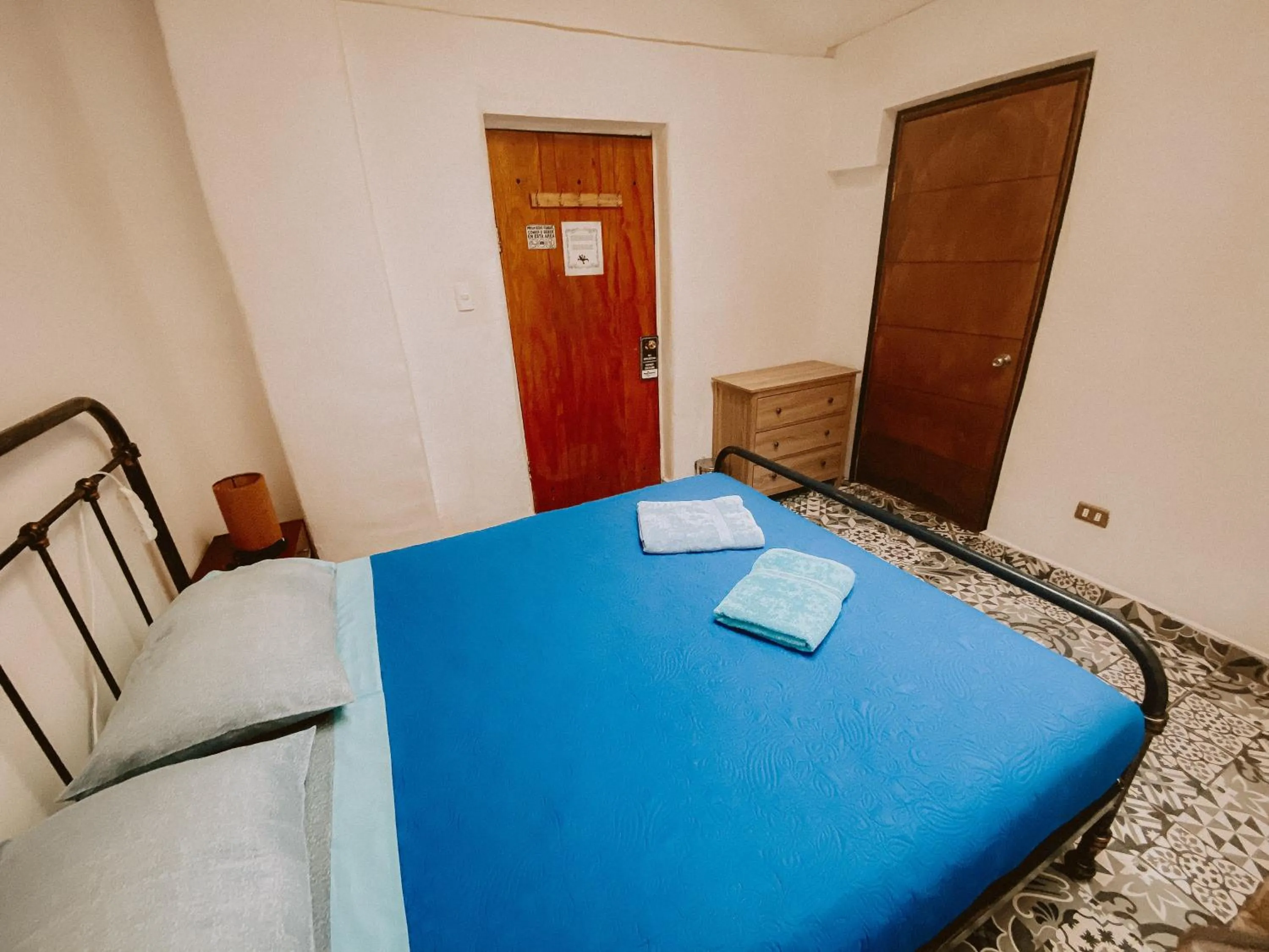 Area and facilities, Bed in Rey Lagarto Hostel