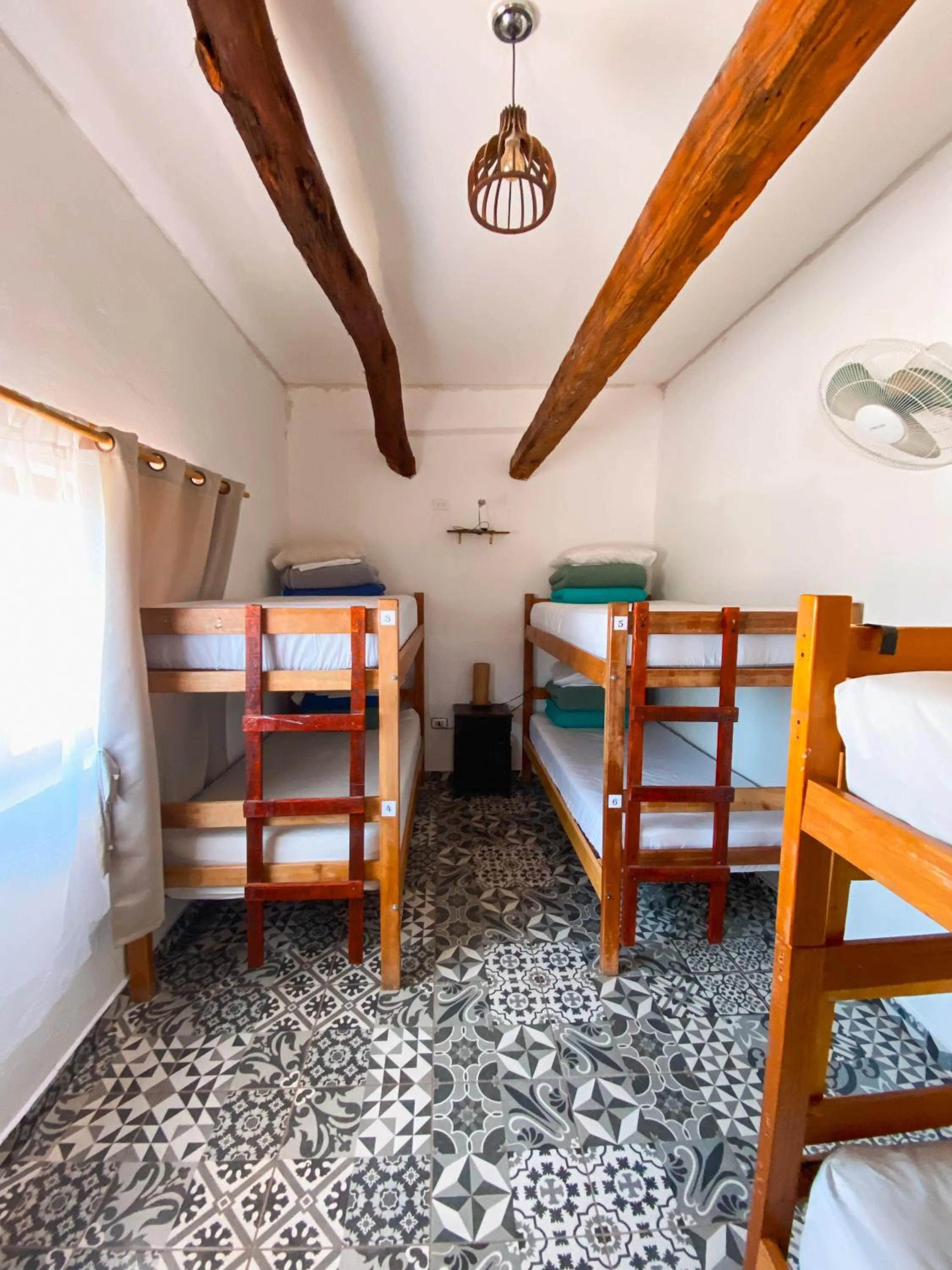 Bed in Rey Lagarto Hostel