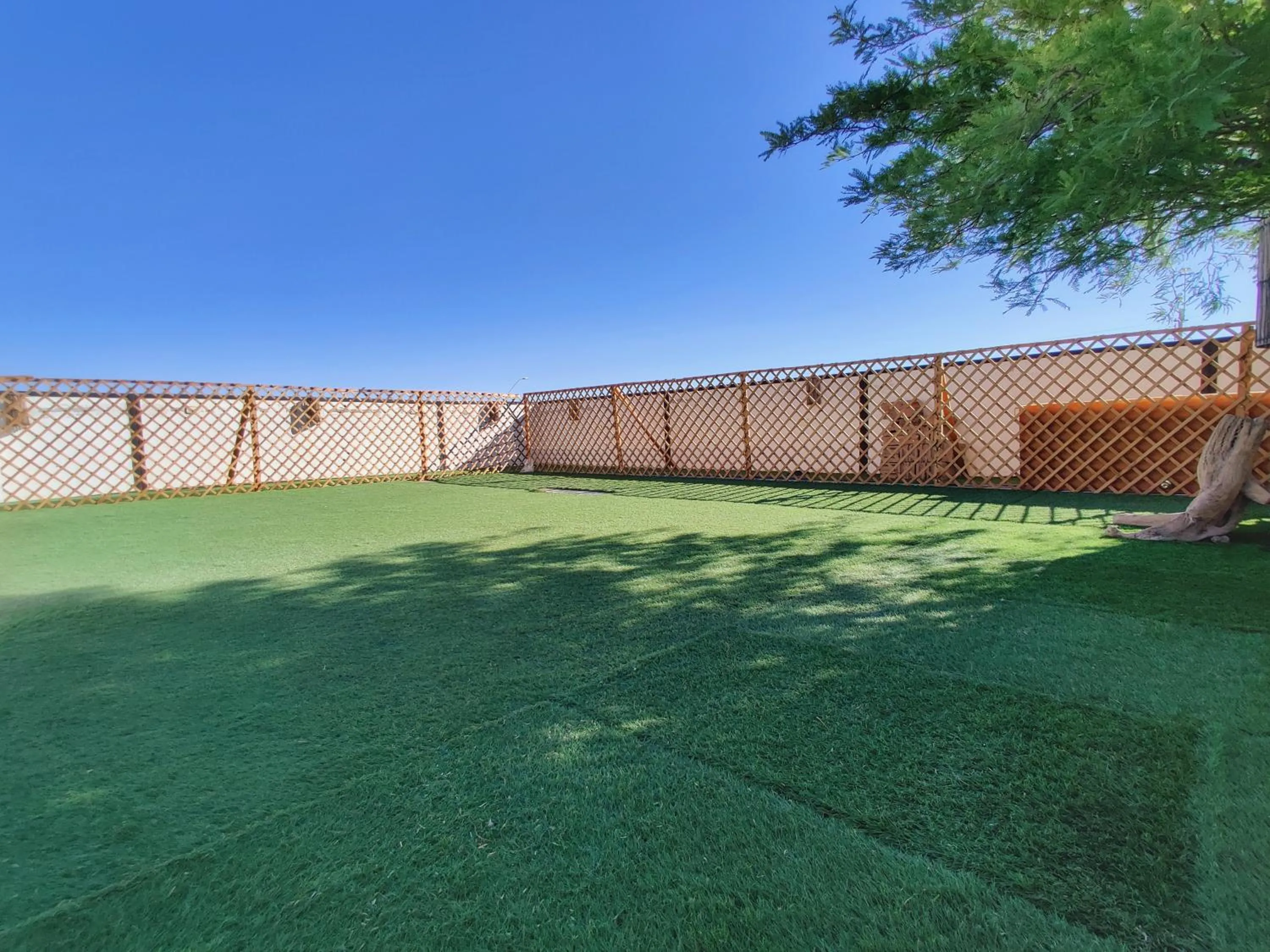 Balcony/Terrace in Rey Lagarto Hostel