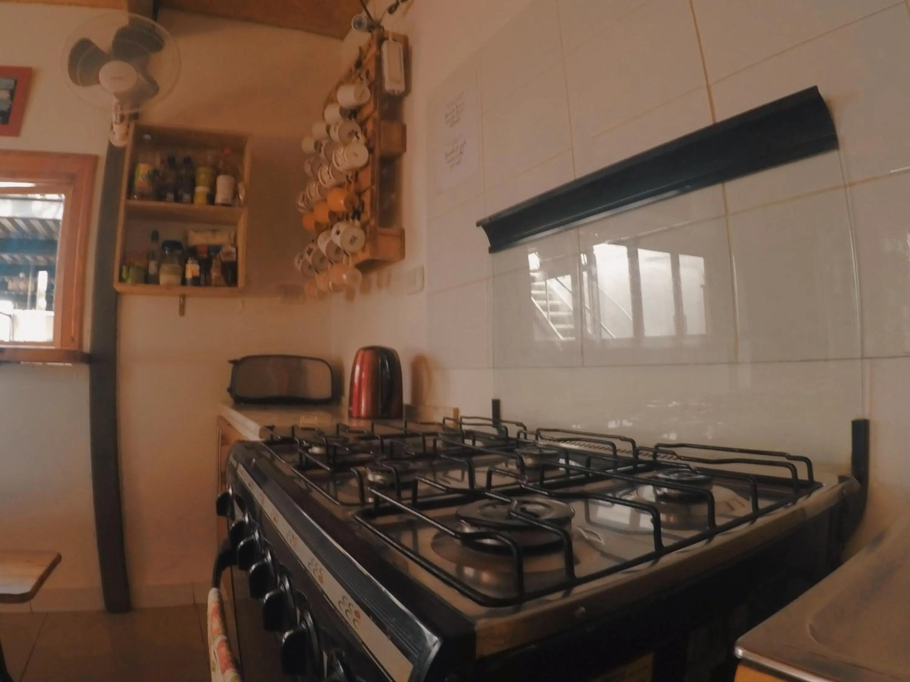 Kitchen or kitchenette in Rey Lagarto Hostel