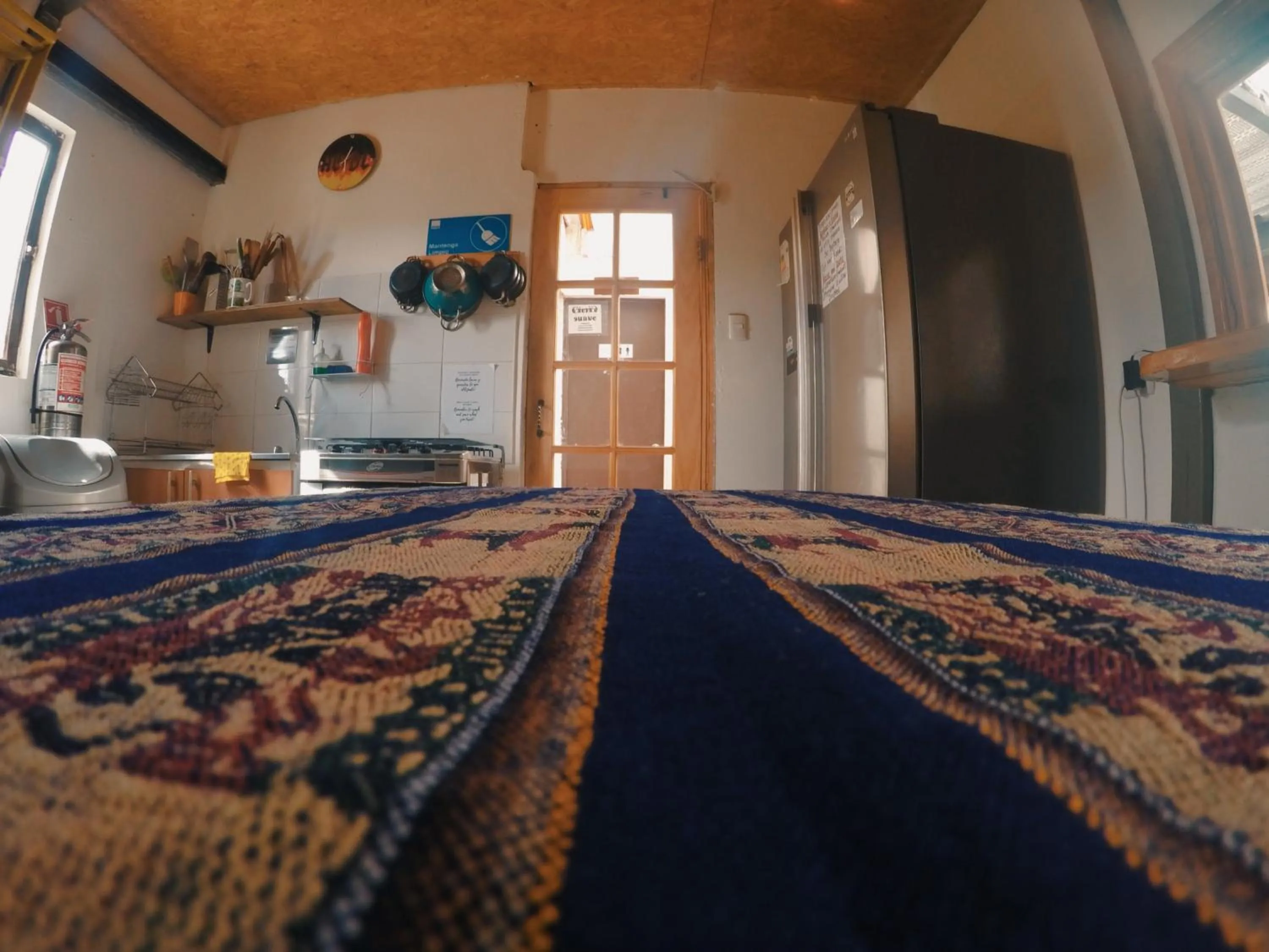 Communal kitchen, Bed in Rey Lagarto Hostel