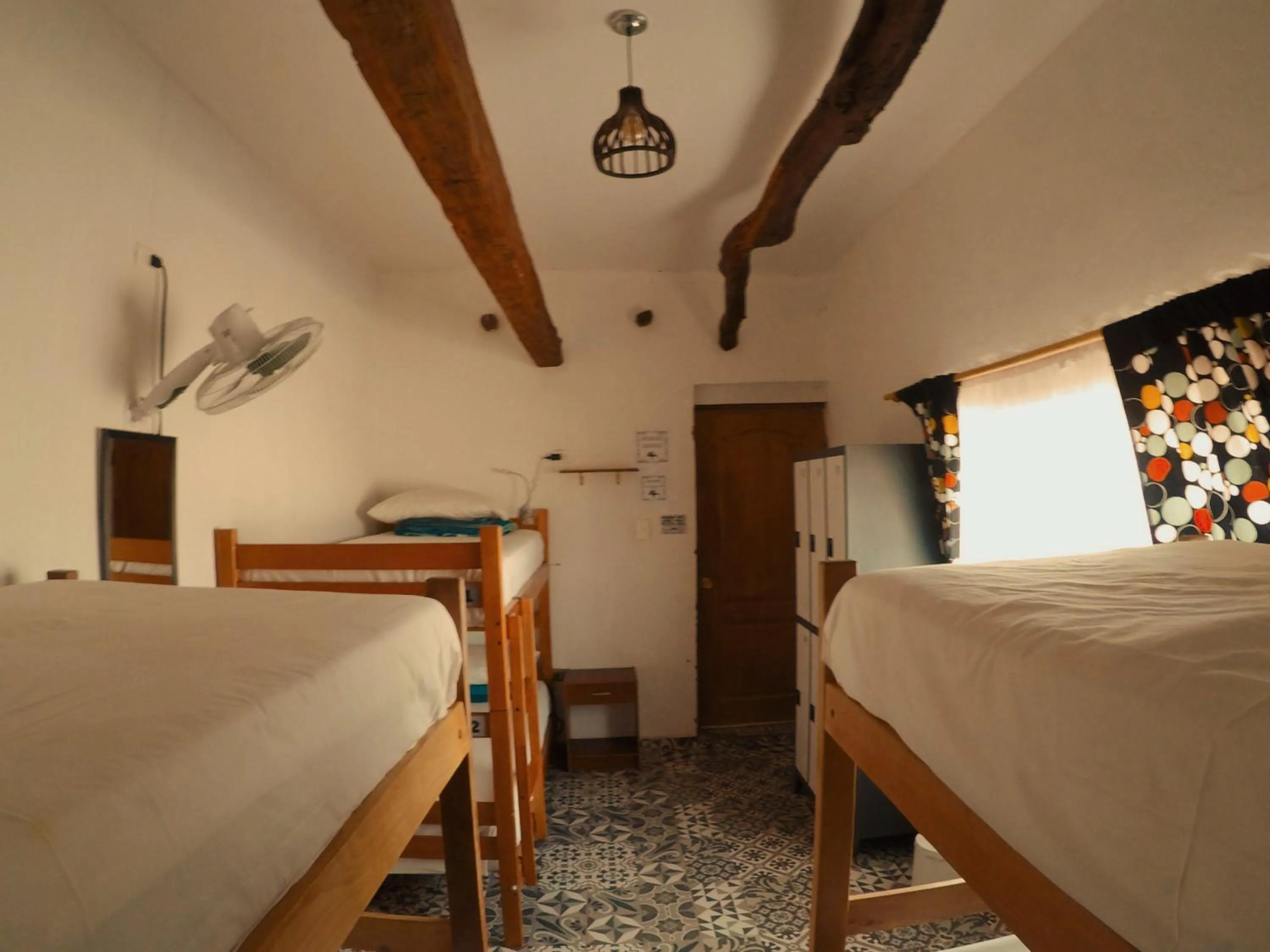 Bed in Rey Lagarto Hostel