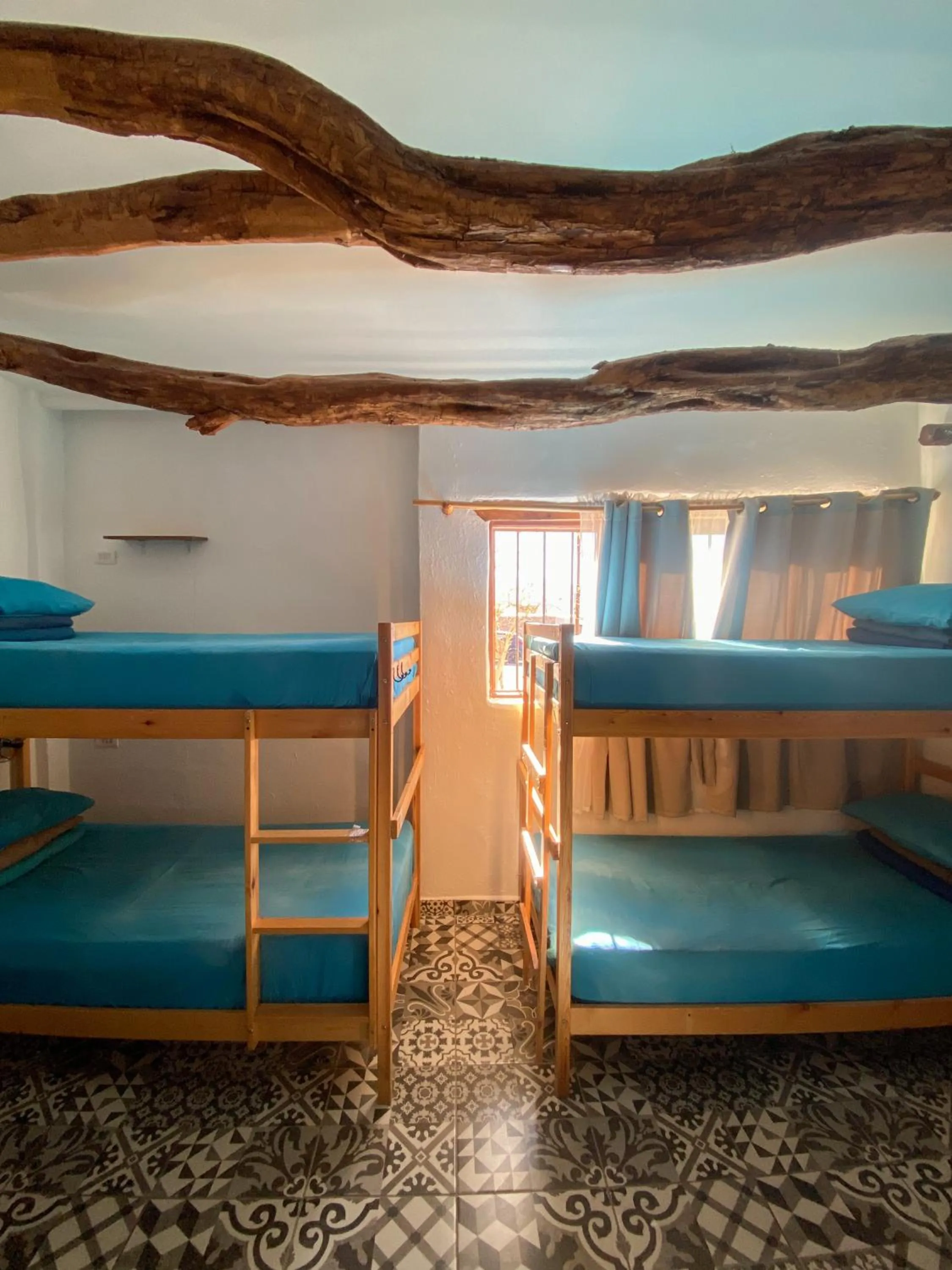 Bed in Rey Lagarto Hostel