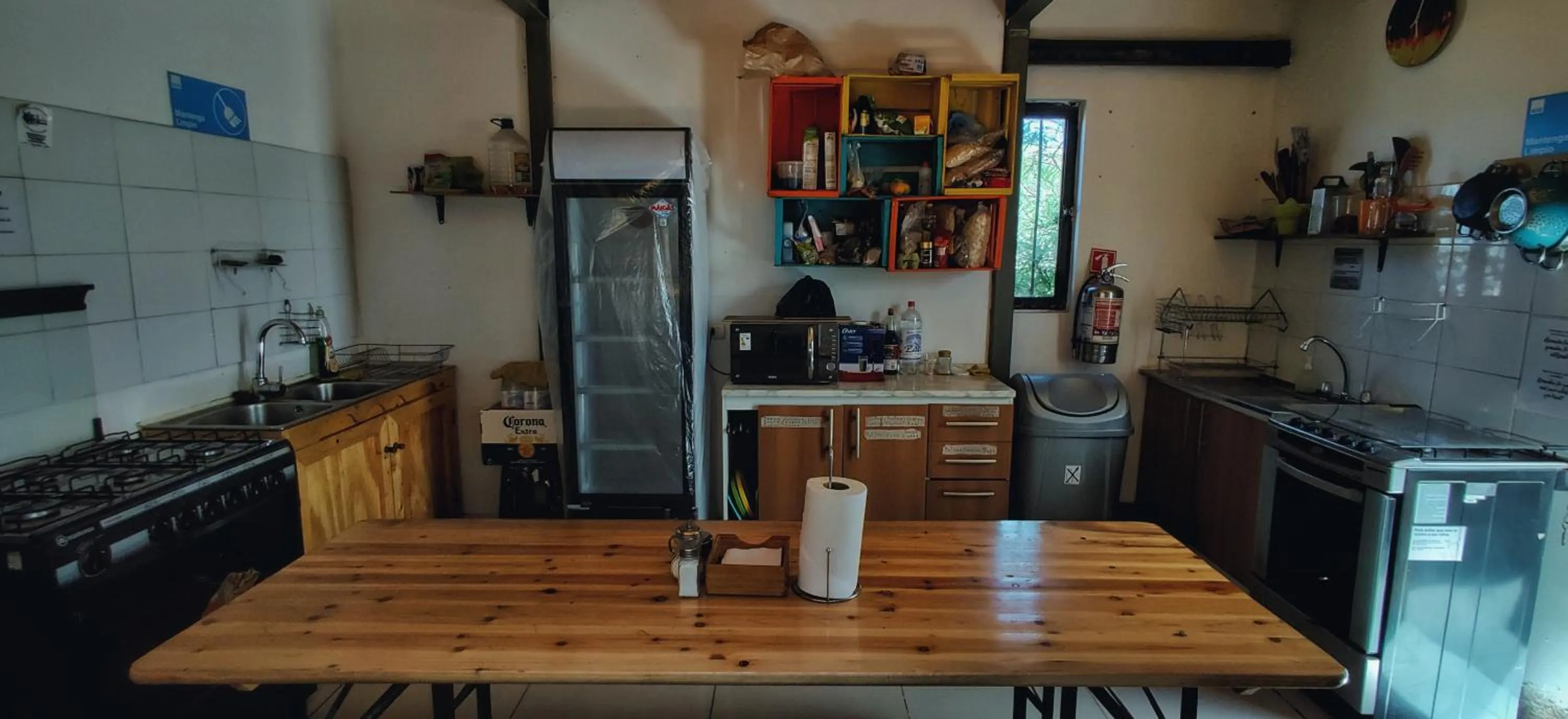 Kitchen or kitchenette in Rey Lagarto Hostel