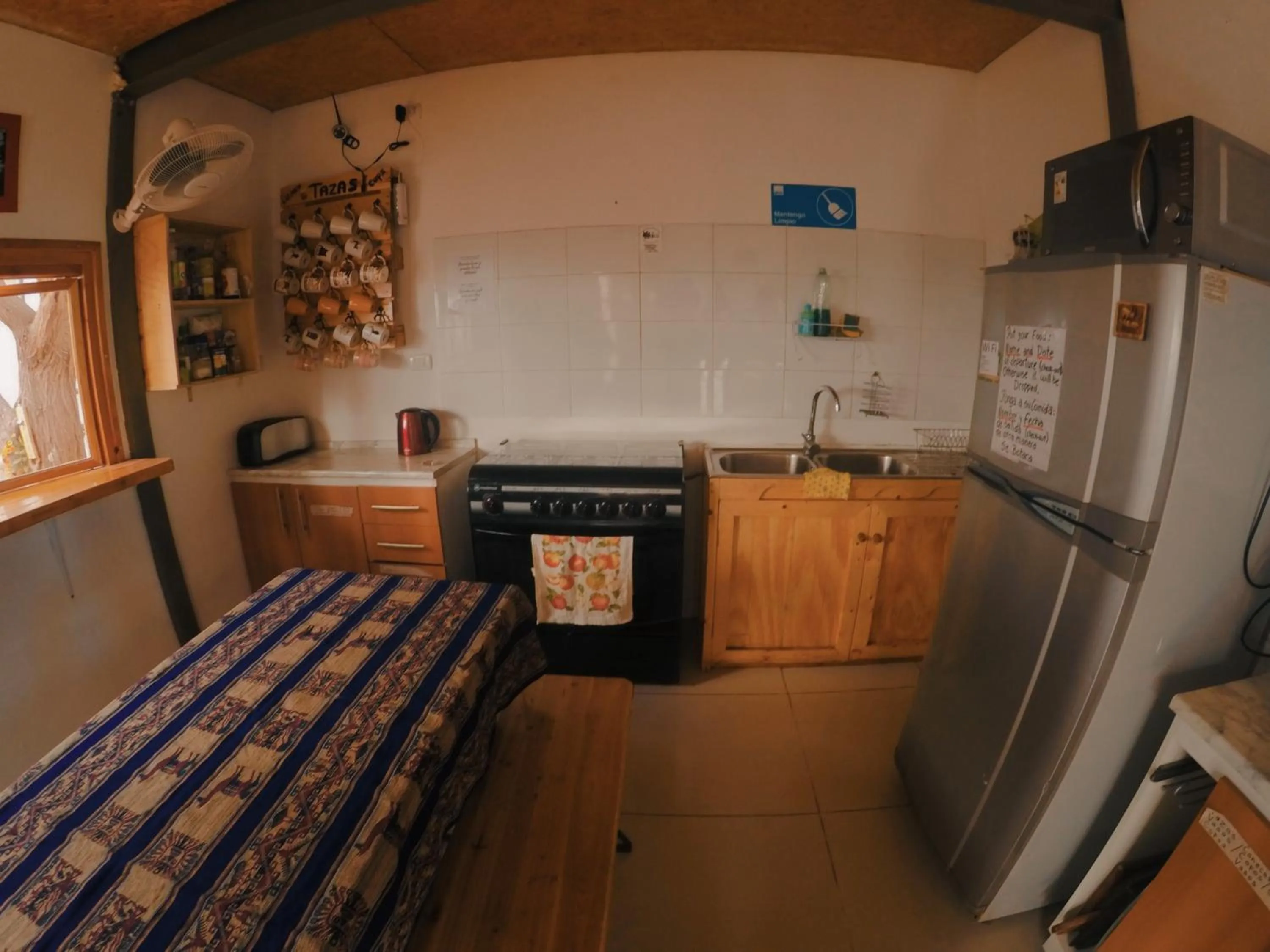 Kitchen or kitchenette in Rey Lagarto Hostel