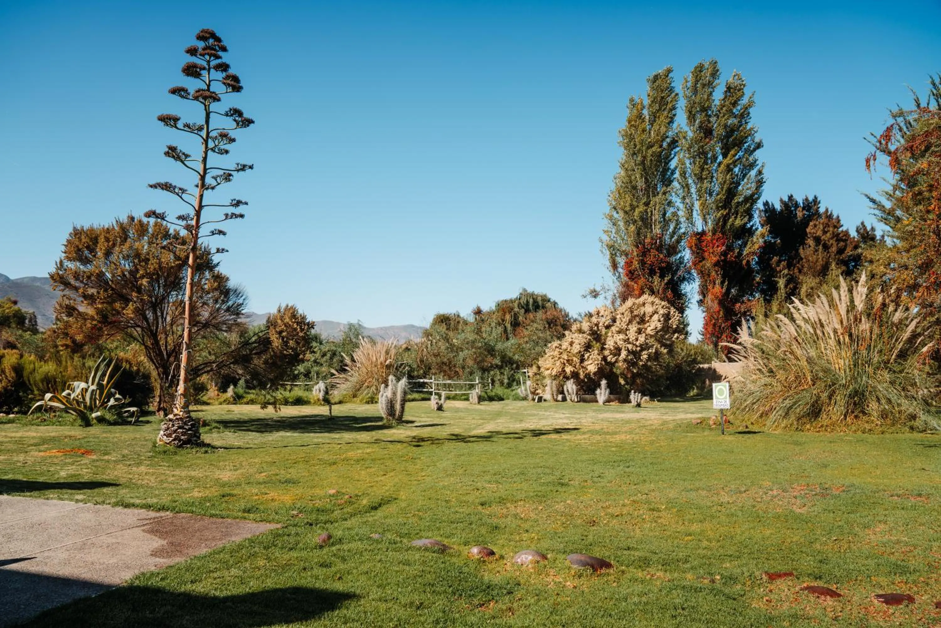 Natural landscape in Hotel Limari