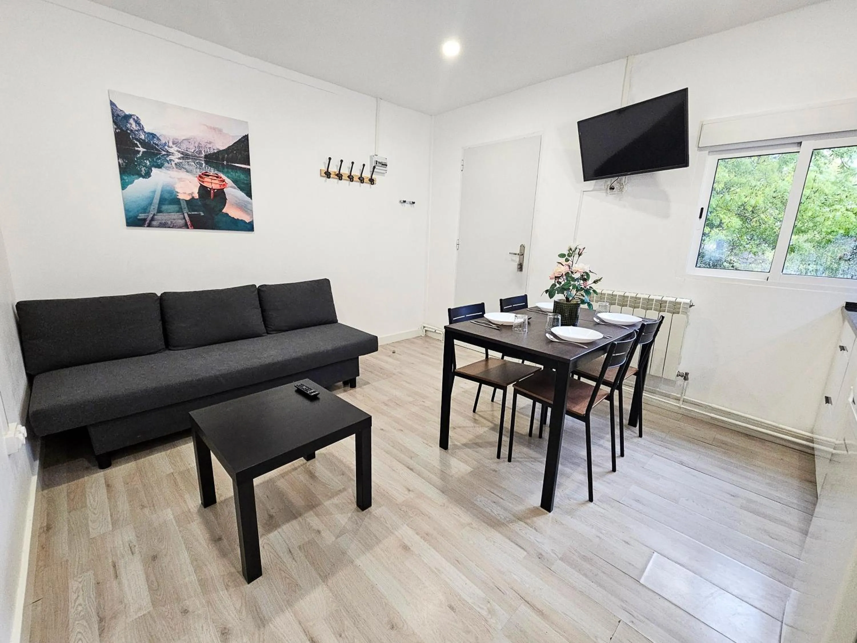 TV and multimedia in Complejo Bubal Formigal 3000