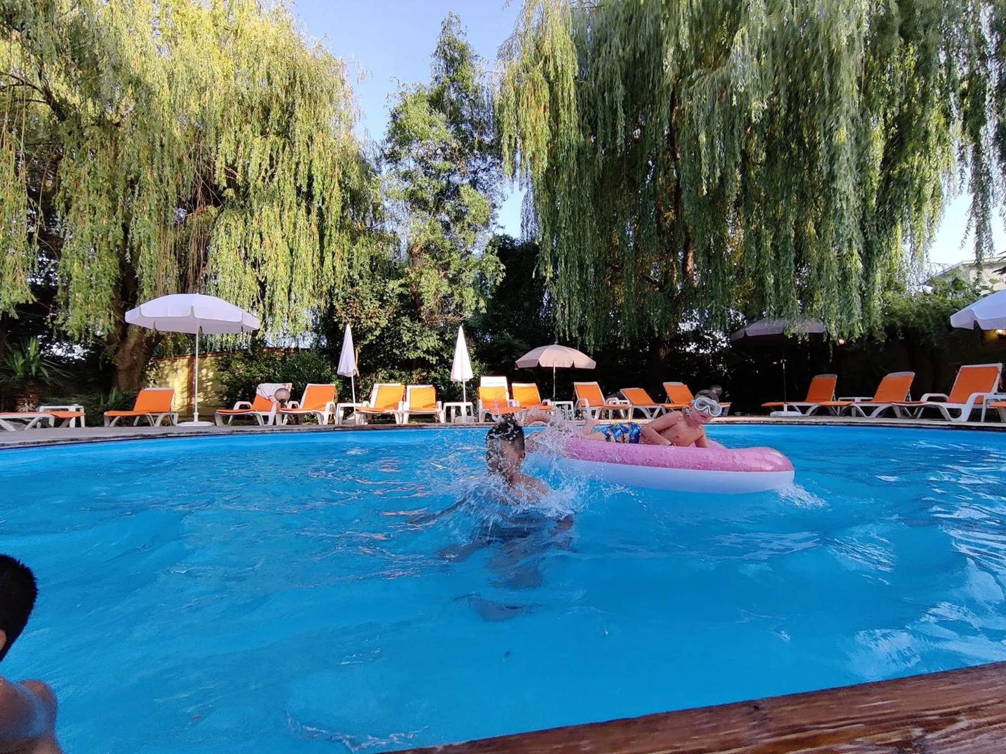 Summer in Family Hotel Iv