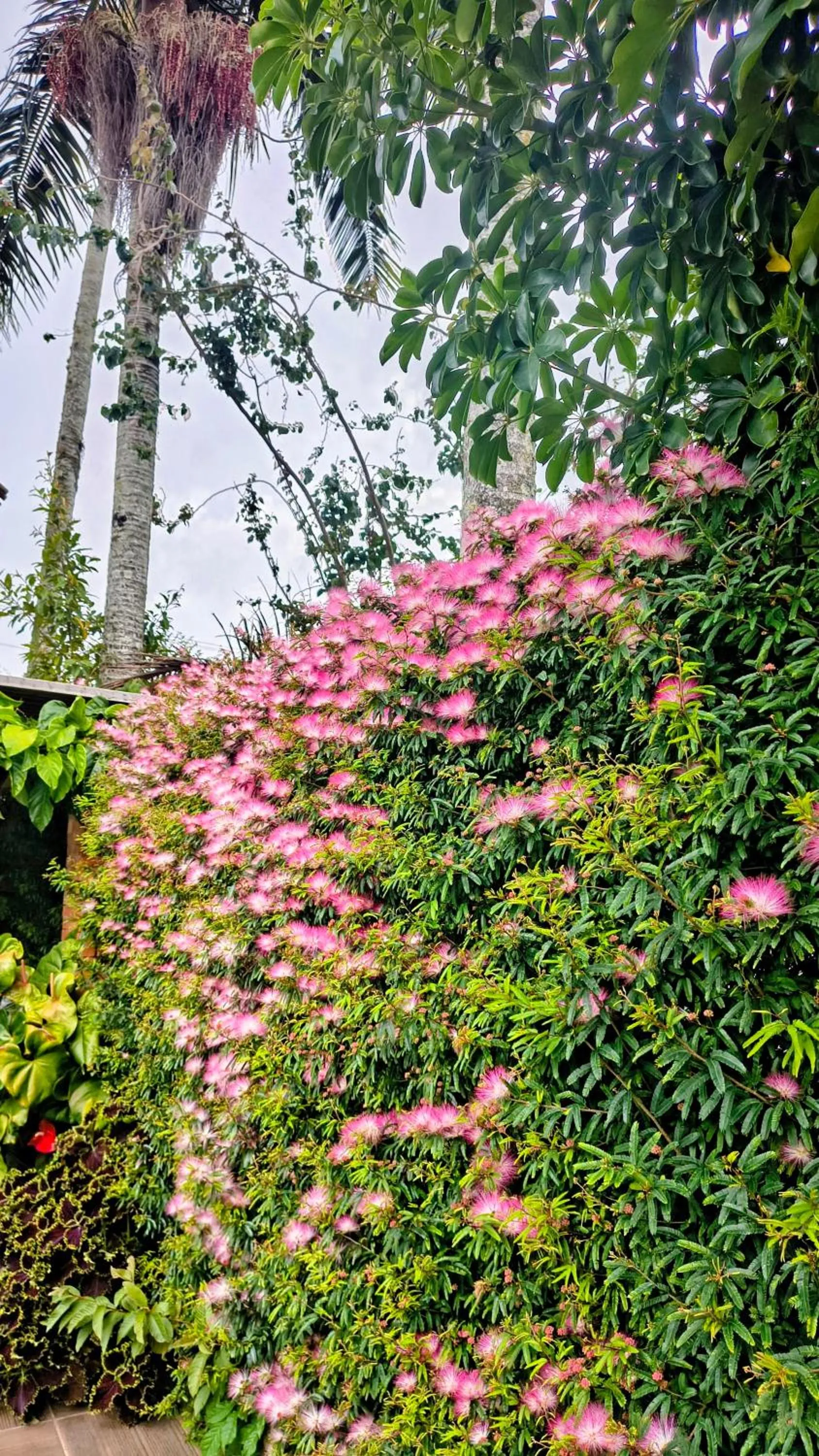 Pousada Jardim Porto Belo