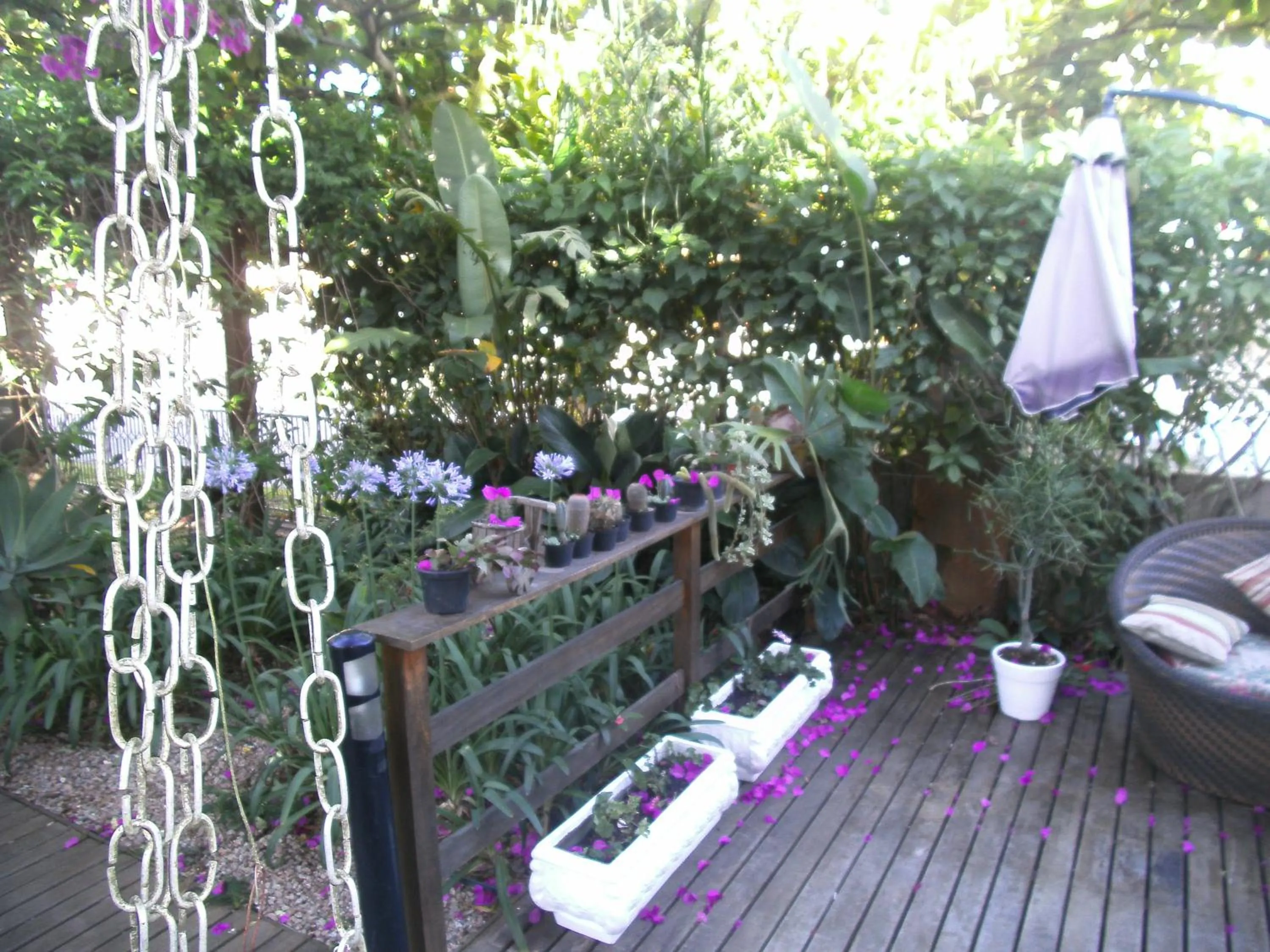 Garden in Pousada Jardim Porto Belo