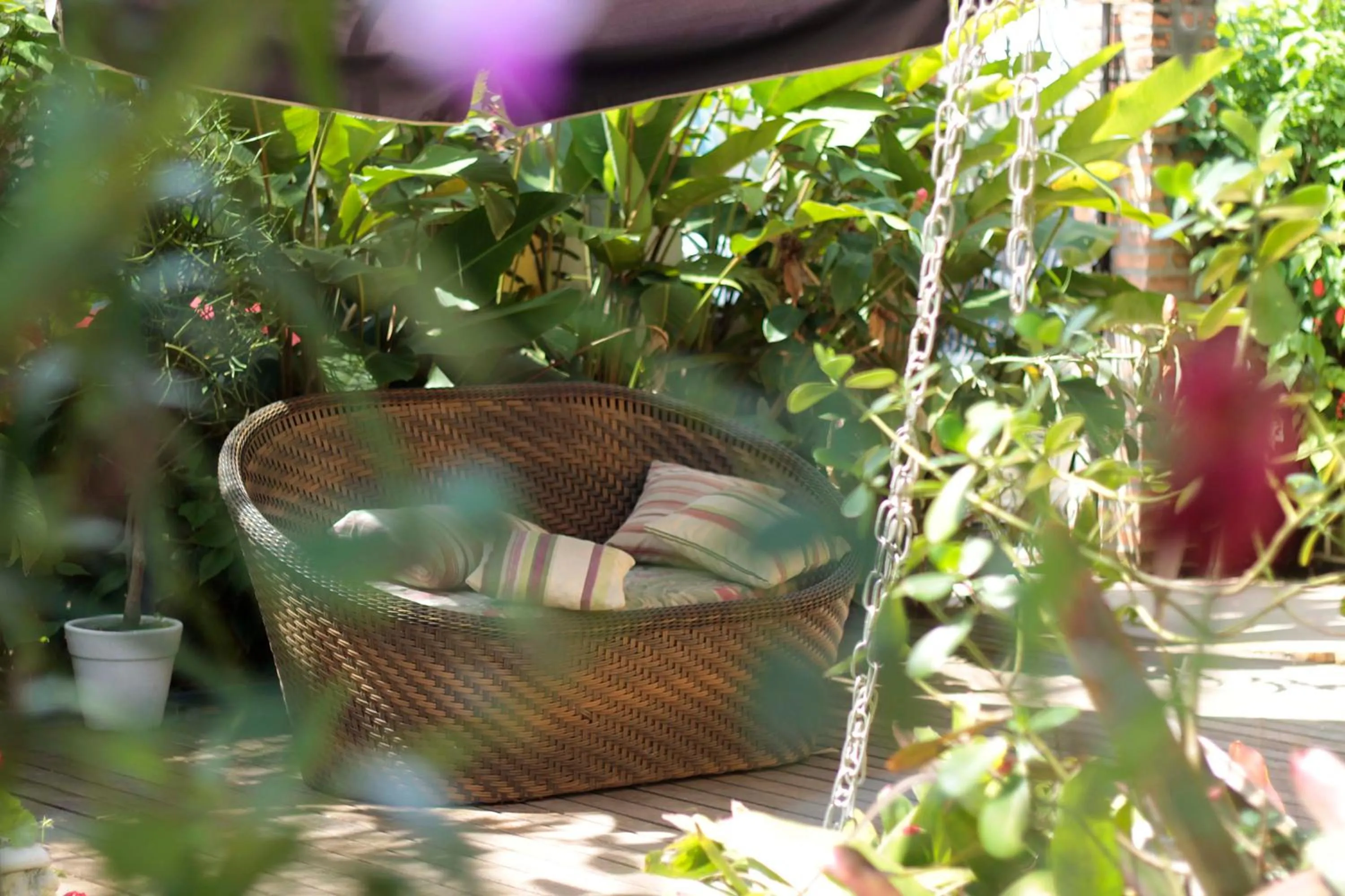 Patio in Pousada Jardim Porto Belo