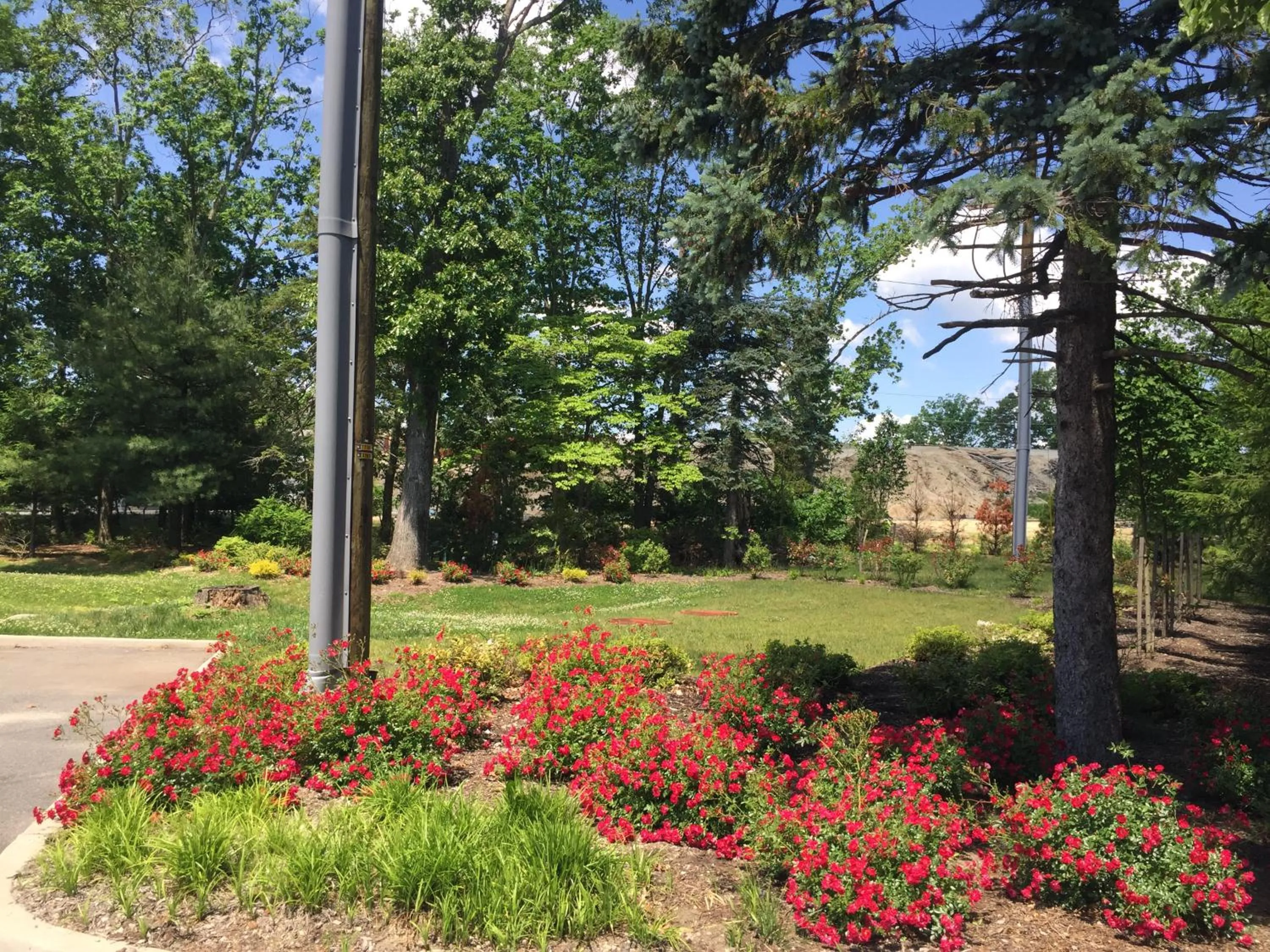 Garden in Relax Inn Galloway