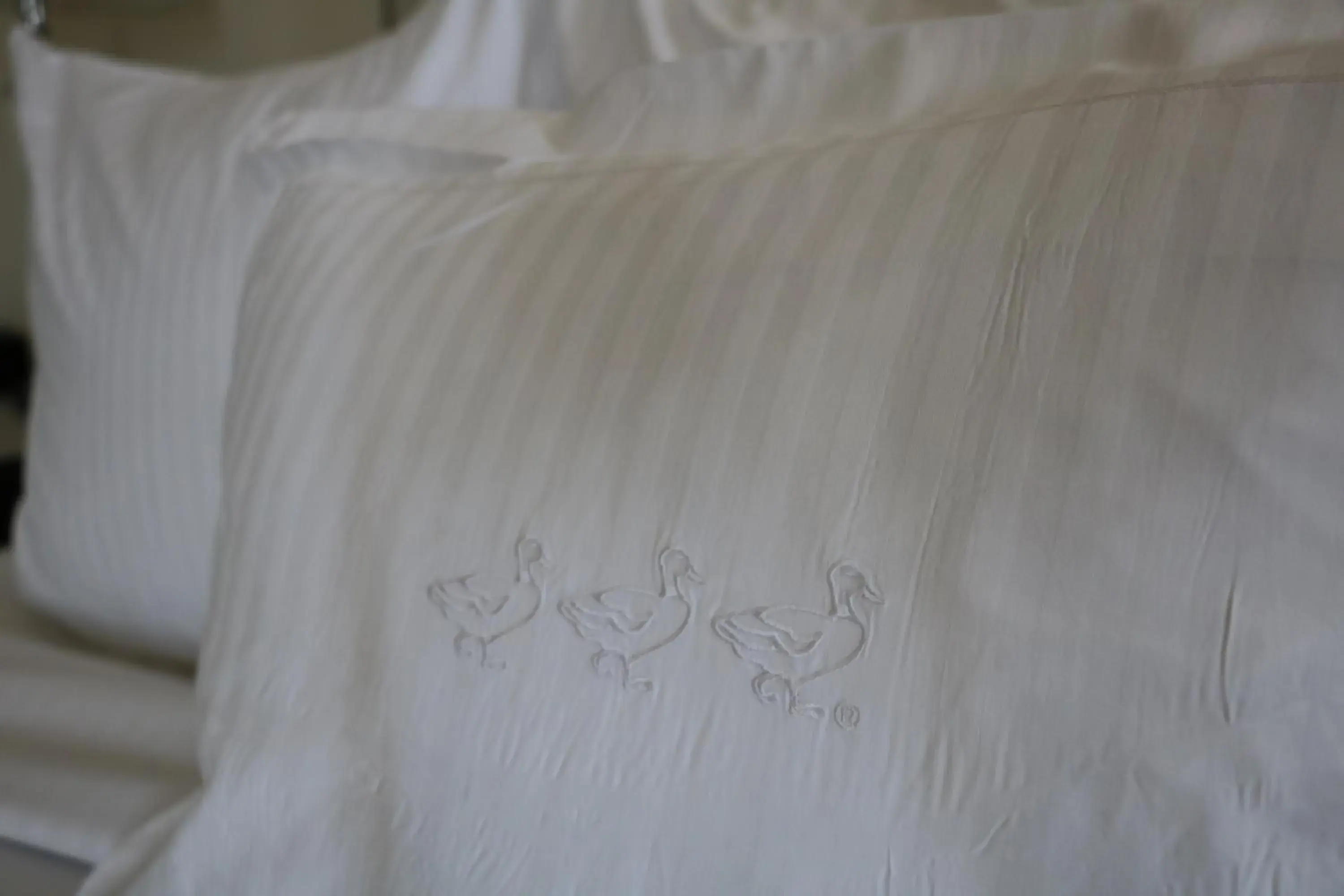 Double Room with Two Double Beds in Peabody Memphis Double Room with Two Double Beds in Peabody Memphis