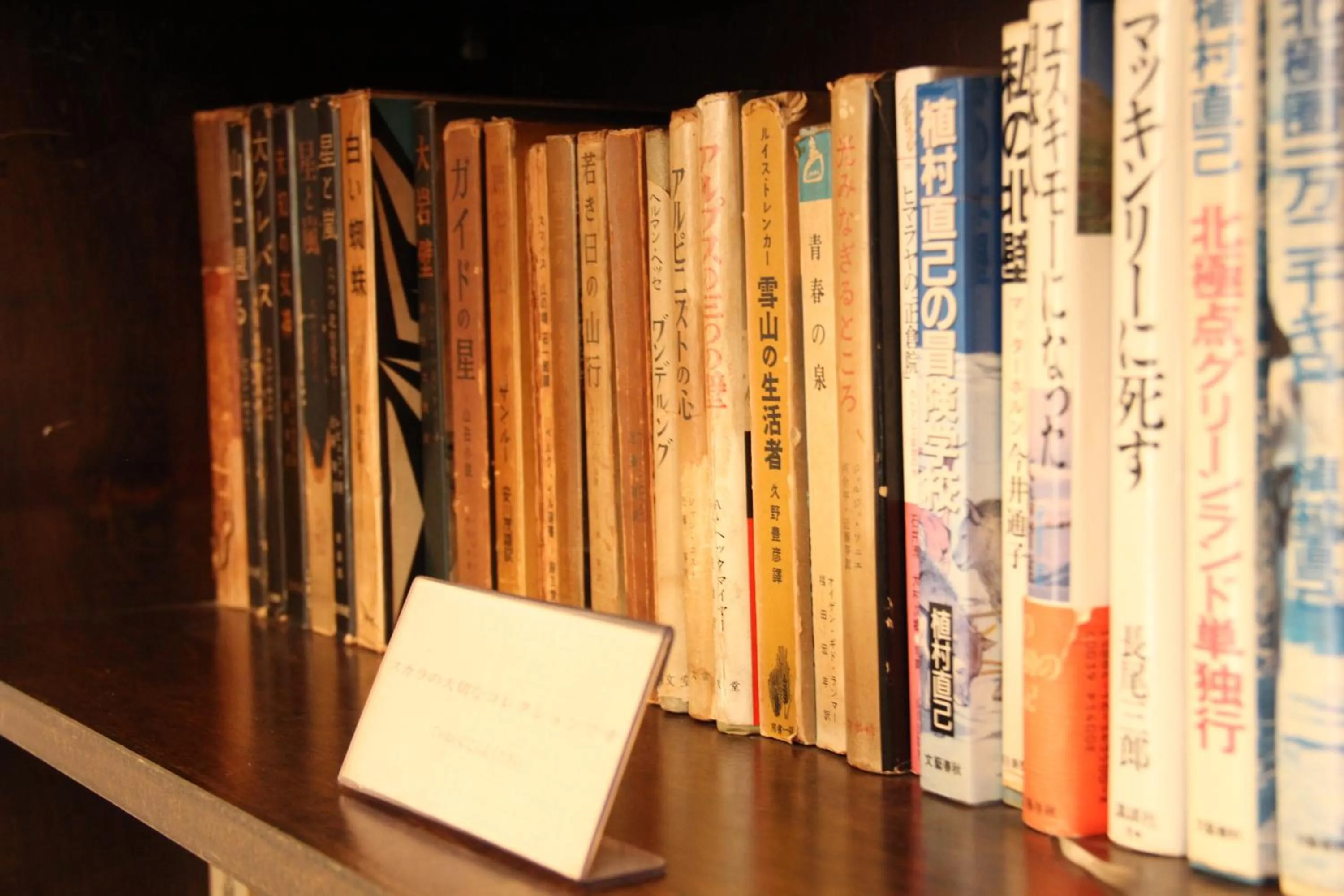 Decorative detail in Hakuba Skala Inn