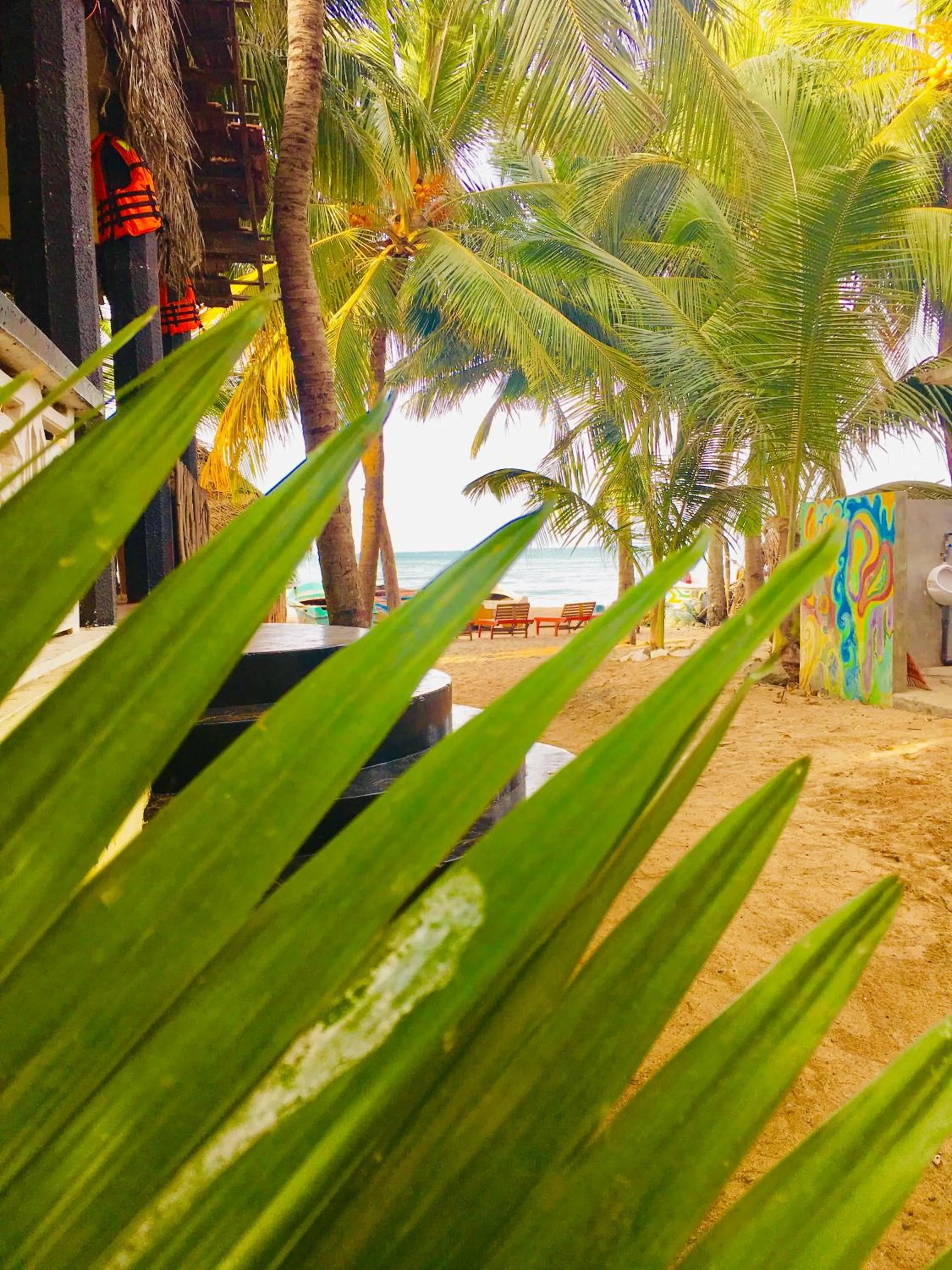 Shashini Beach Resort