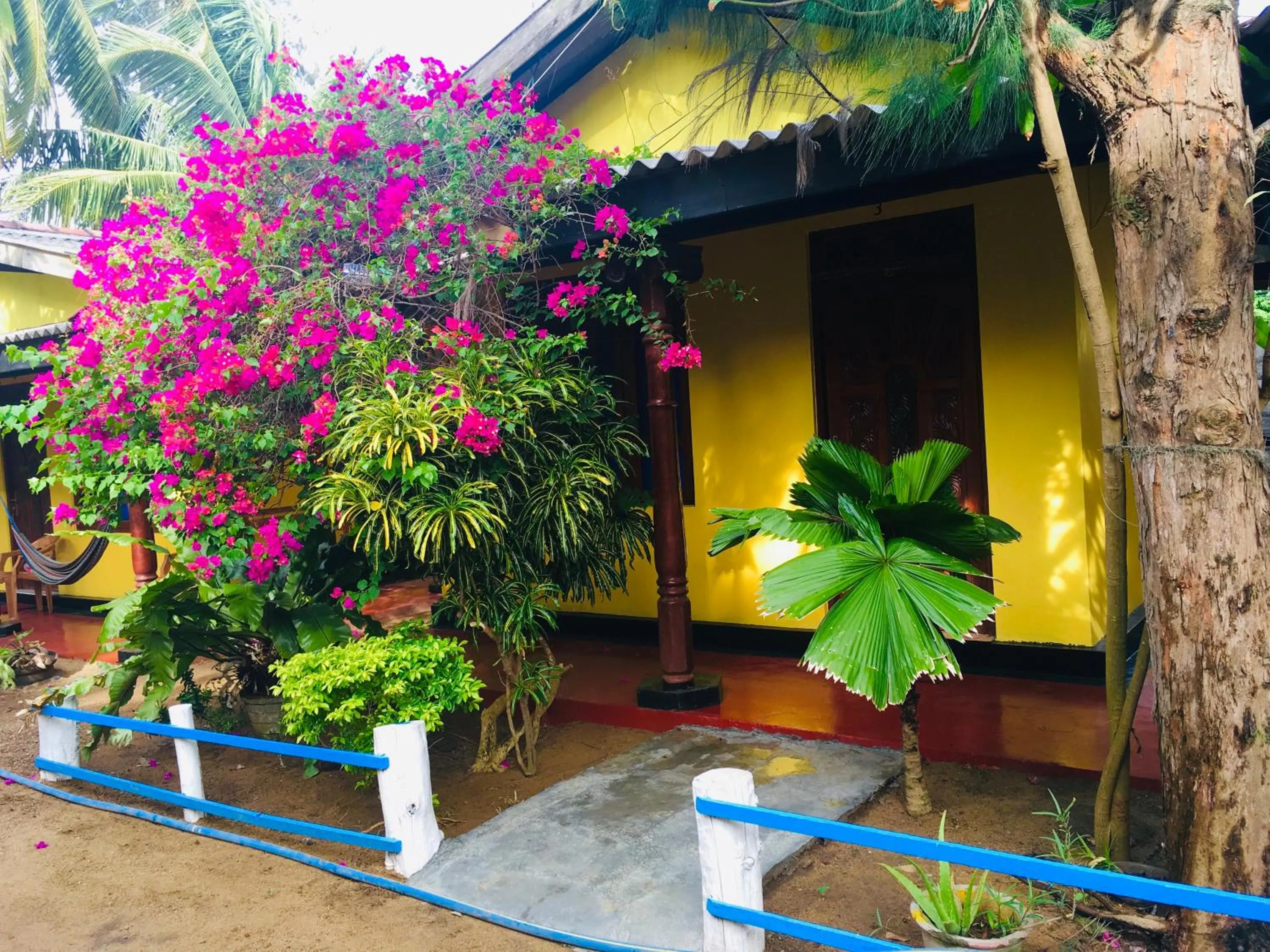 Shashini Beach Resort