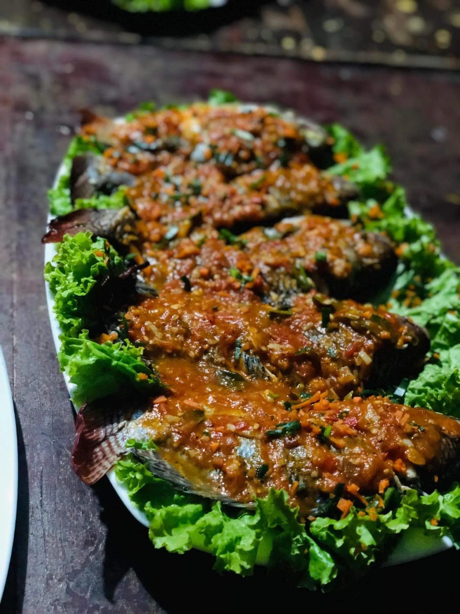 Shashini Beach Resort