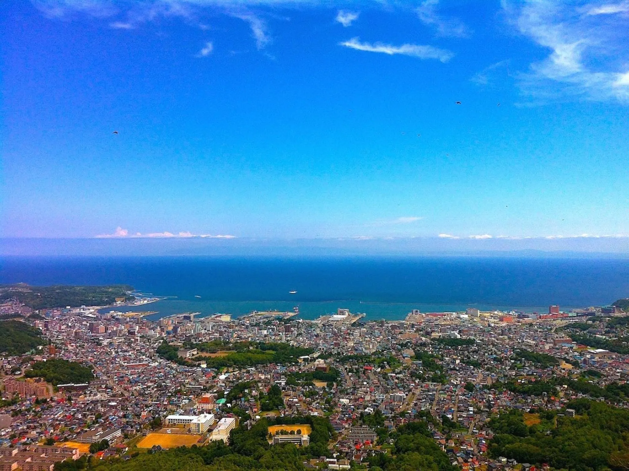 Natural landscape in The Otaornai Backpacker's Hostel Morinoki