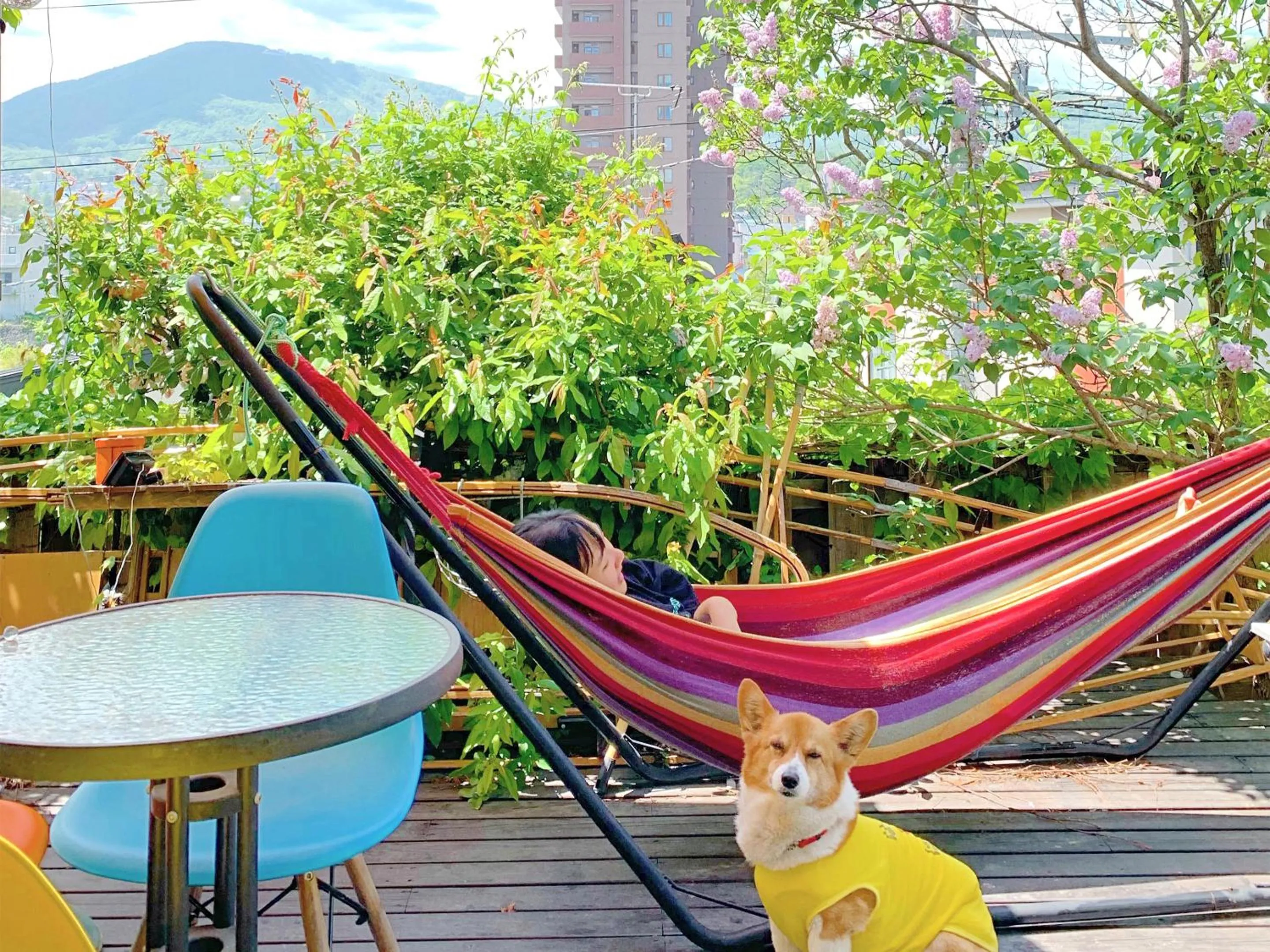 Balcony/Terrace in The Otaornai Backpacker's Hostel Morinoki