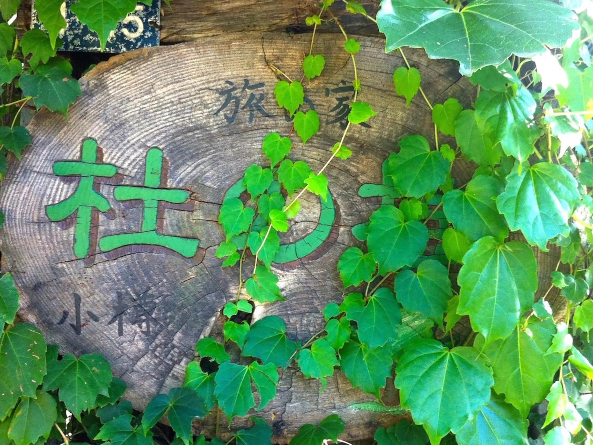 Property building in The Otaornai Backpacker's Hostel Morinoki