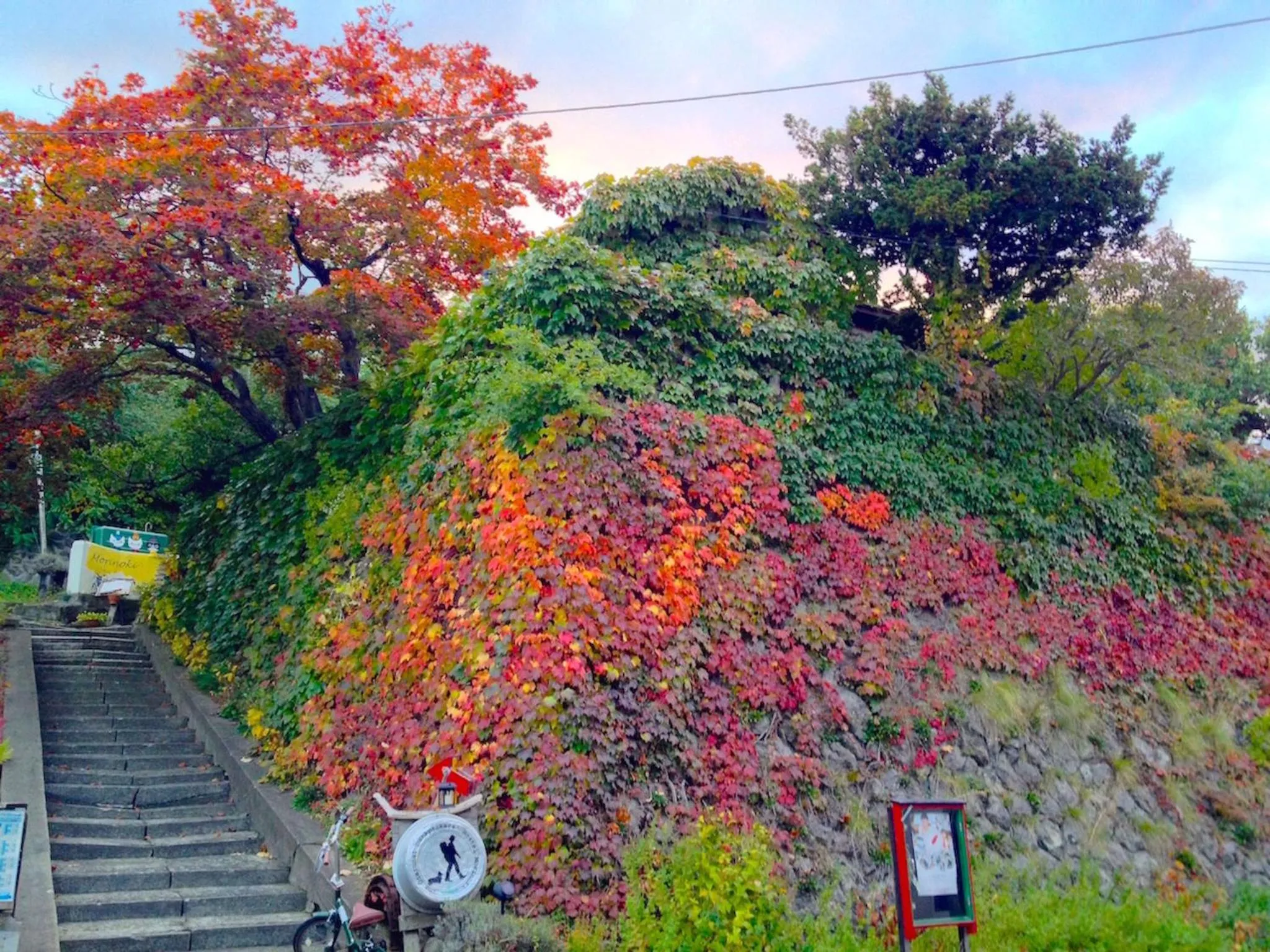 Facade/entrance in The Otaornai Backpacker's Hostel Morinoki