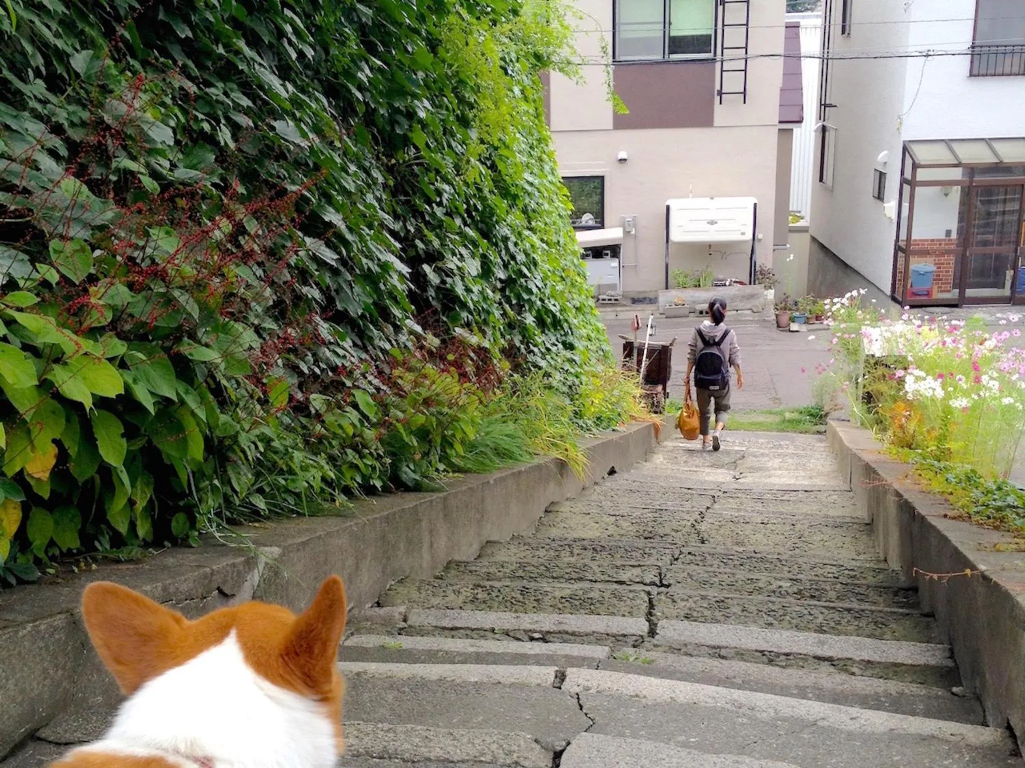 Summer in The Otaornai Backpacker's Hostel Morinoki