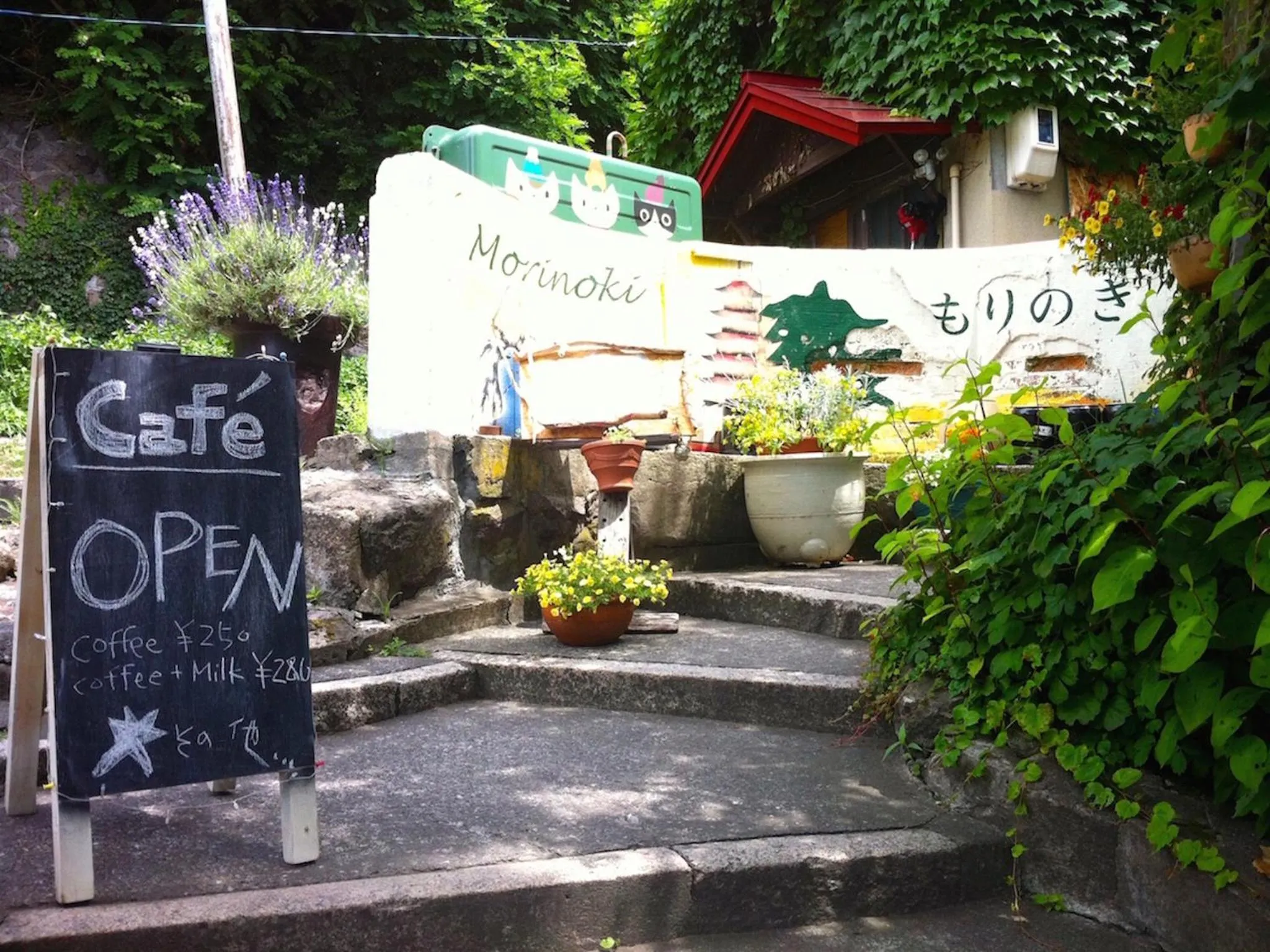 Facade/entrance in The Otaornai Backpacker's Hostel Morinoki