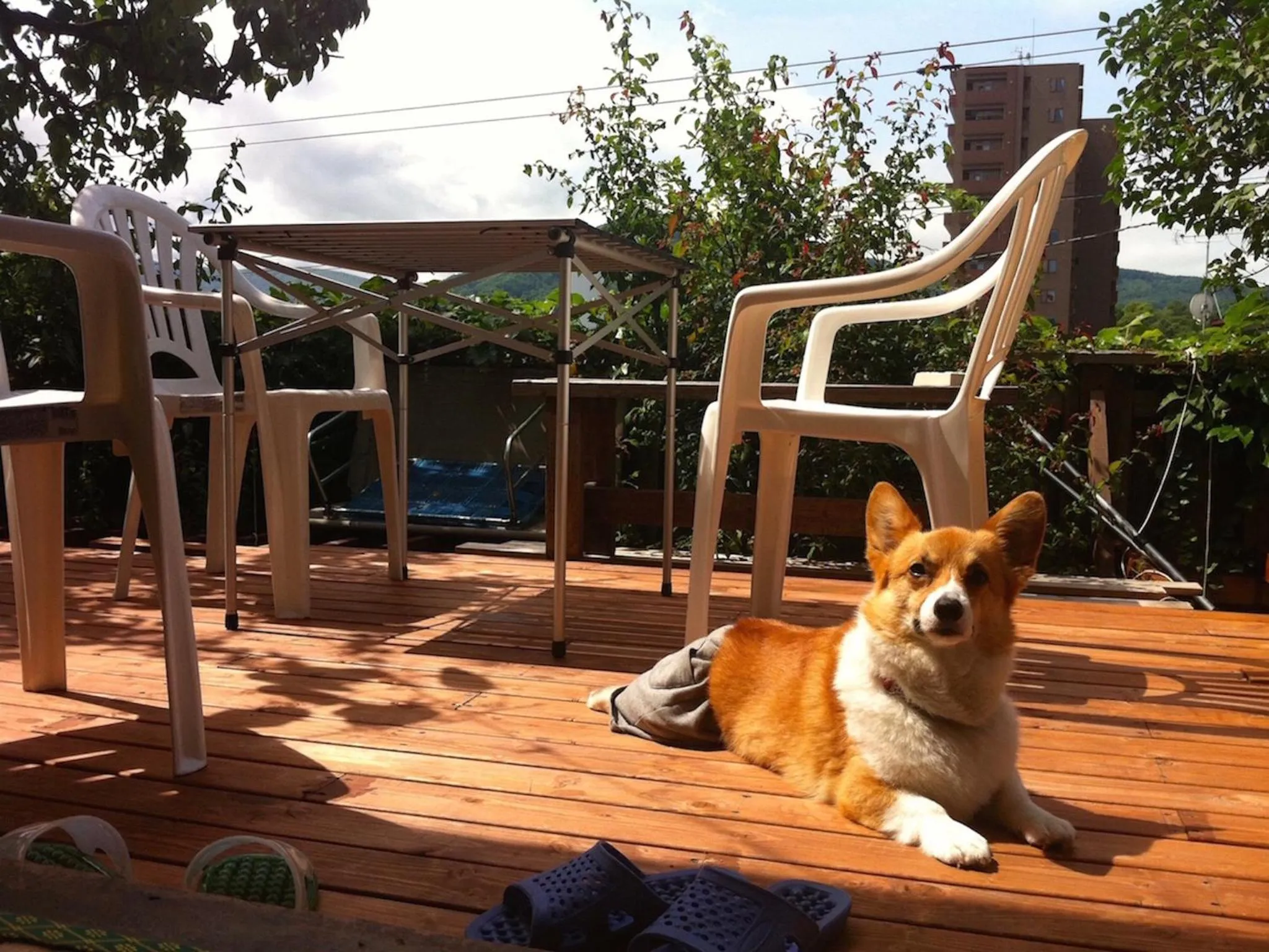 Balcony/Terrace in The Otaornai Backpacker's Hostel Morinoki