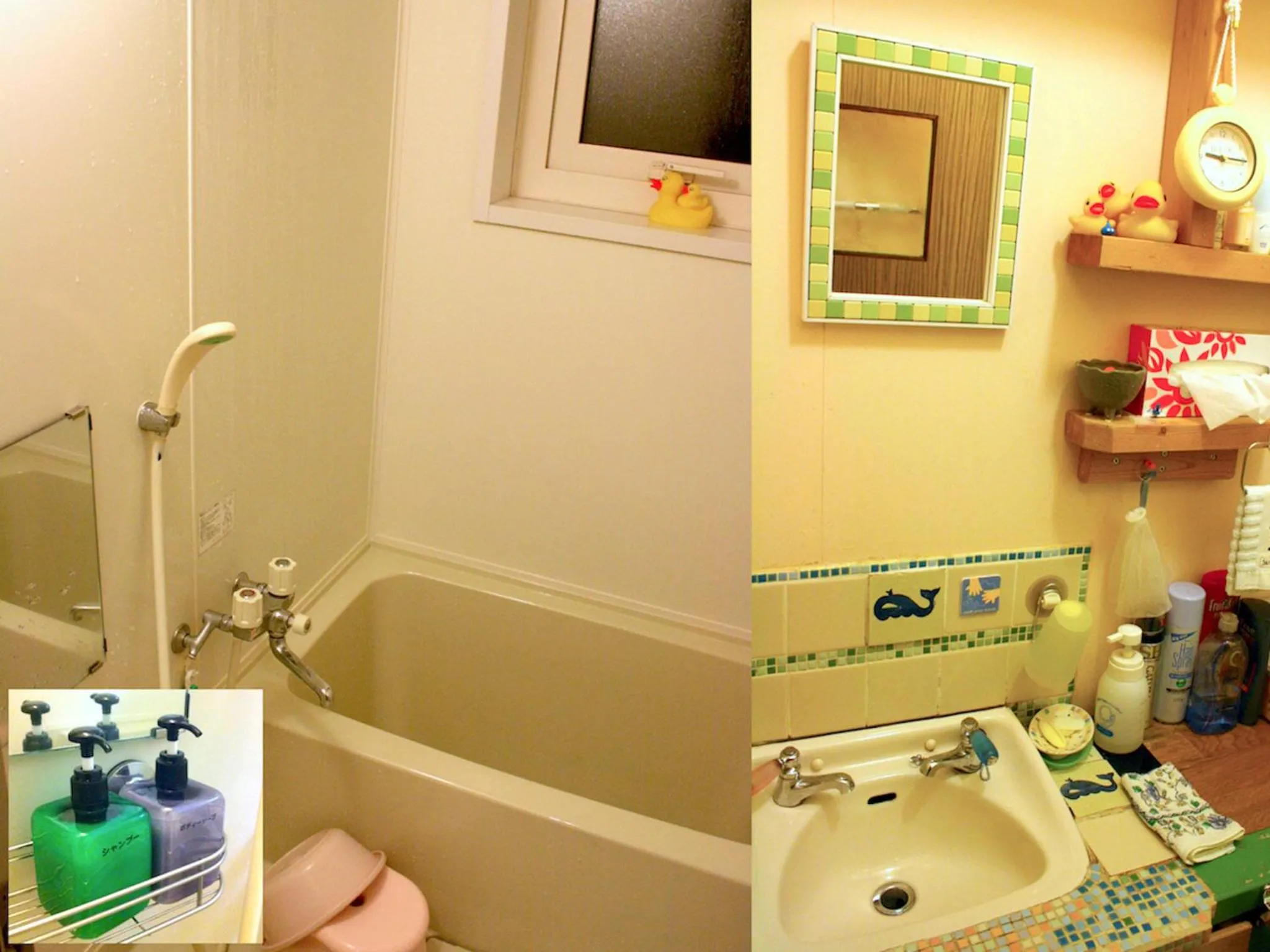 Bathroom in The Otaornai Backpacker's Hostel Morinoki