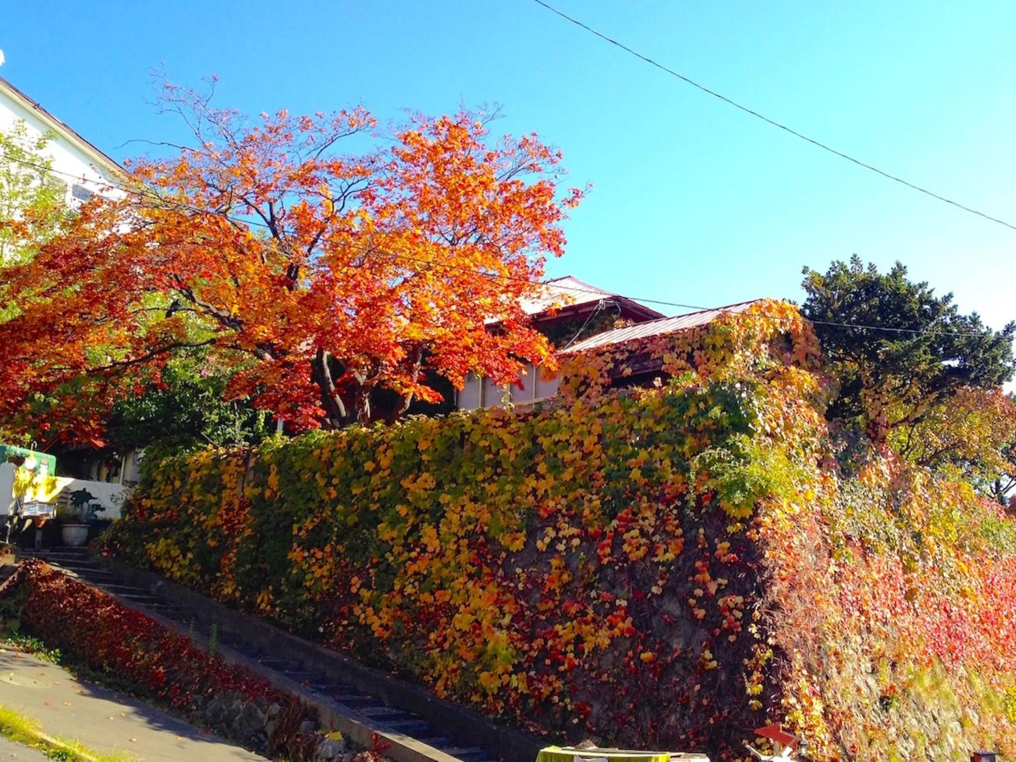 Facade/entrance in The Otaornai Backpacker's Hostel Morinoki