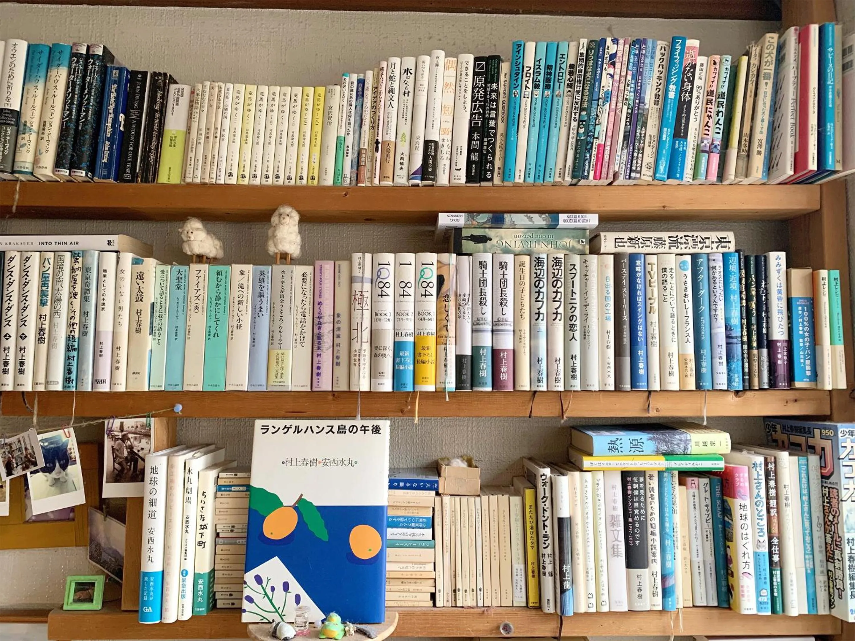 Area and facilities in The Otaornai Backpacker's Hostel Morinoki