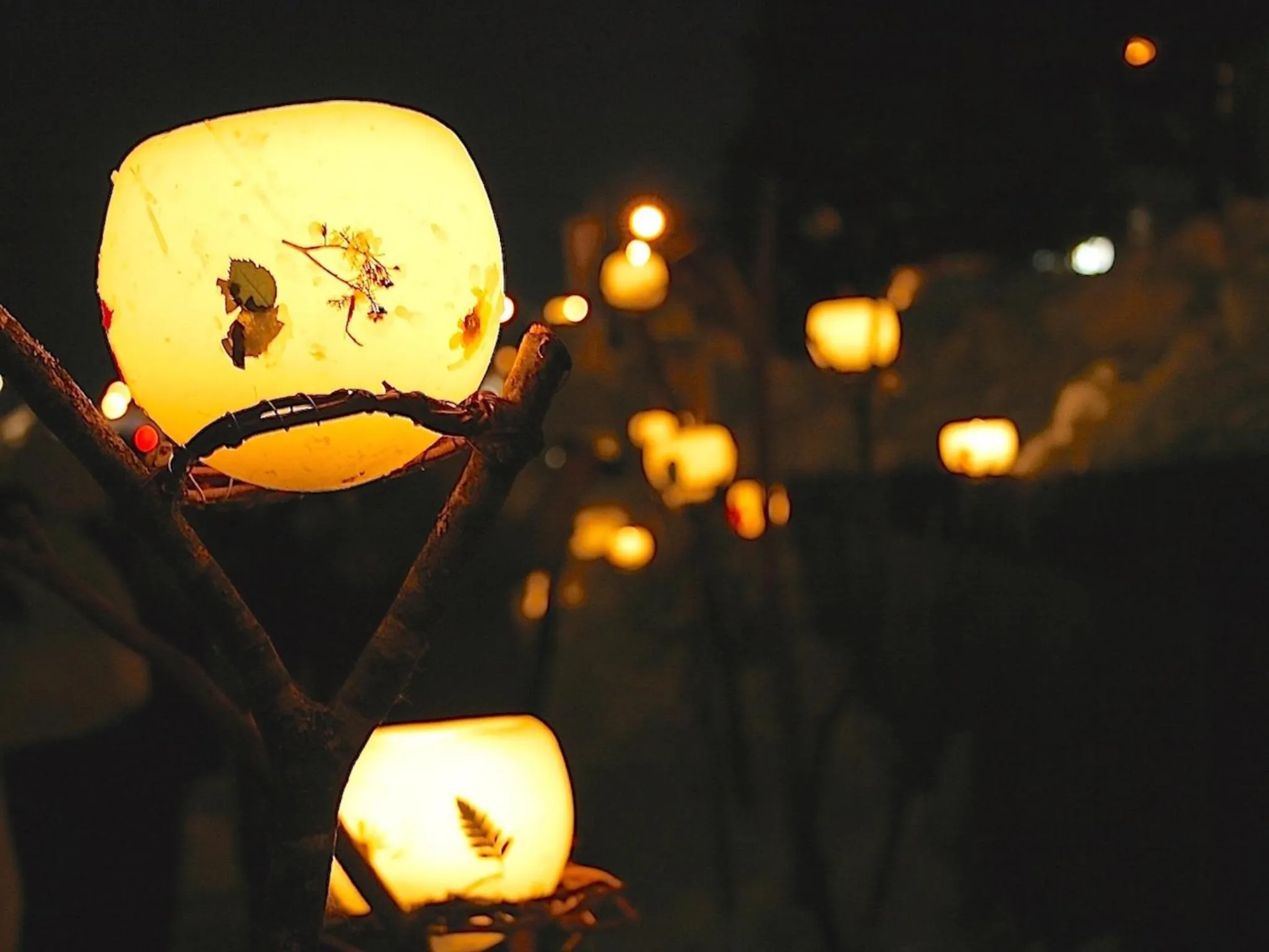 Activities in The Otaornai Backpacker's Hostel Morinoki