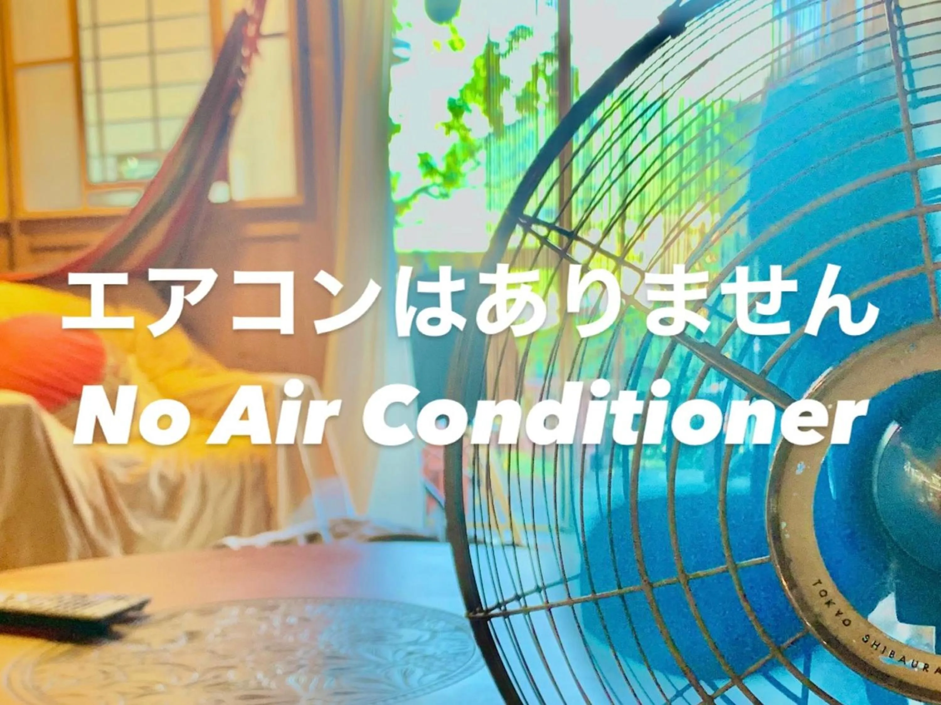 Photo of the whole room in The Otaornai Backpacker's Hostel Morinoki