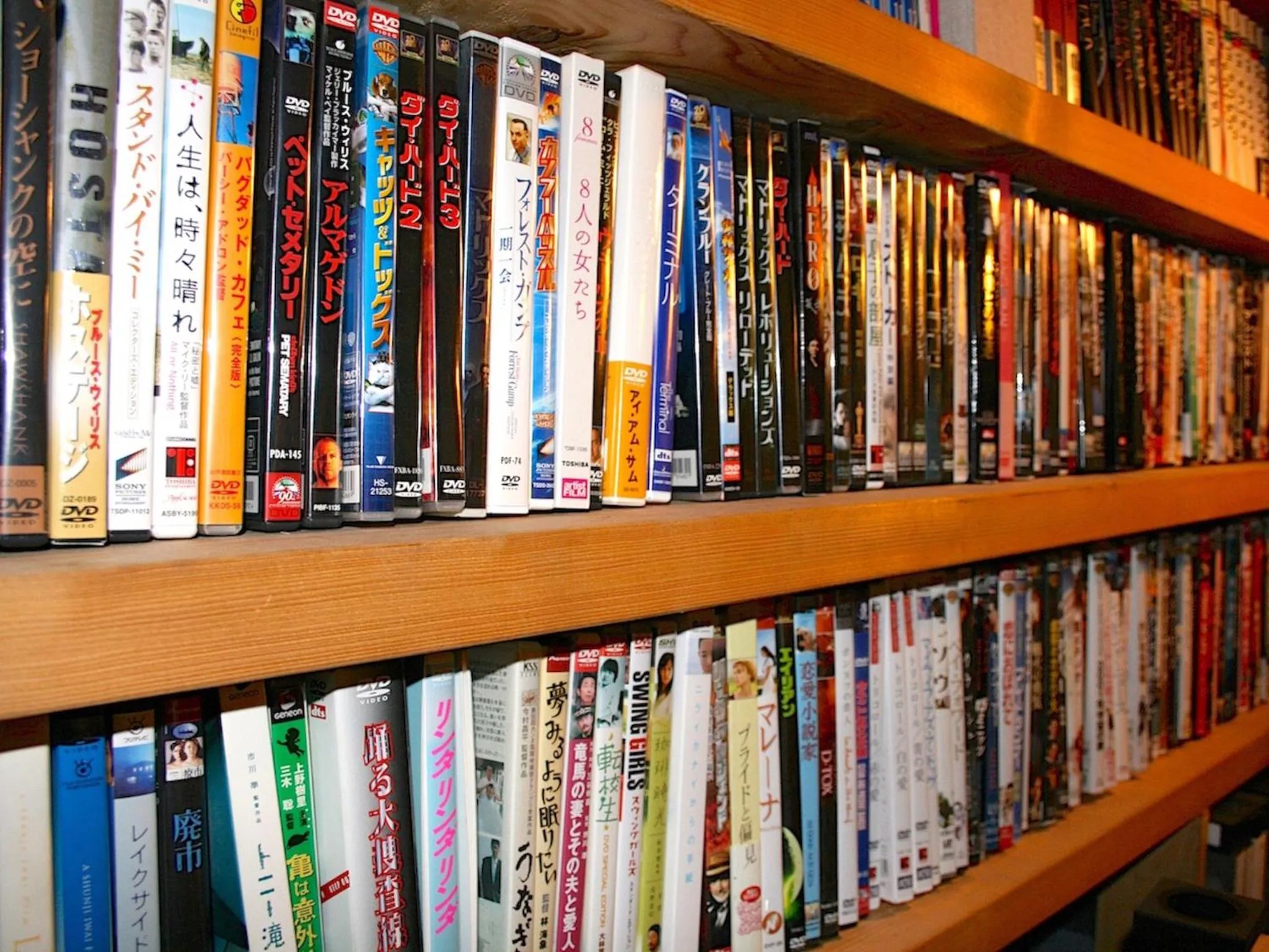 Entertainment in The Otaornai Backpacker's Hostel Morinoki