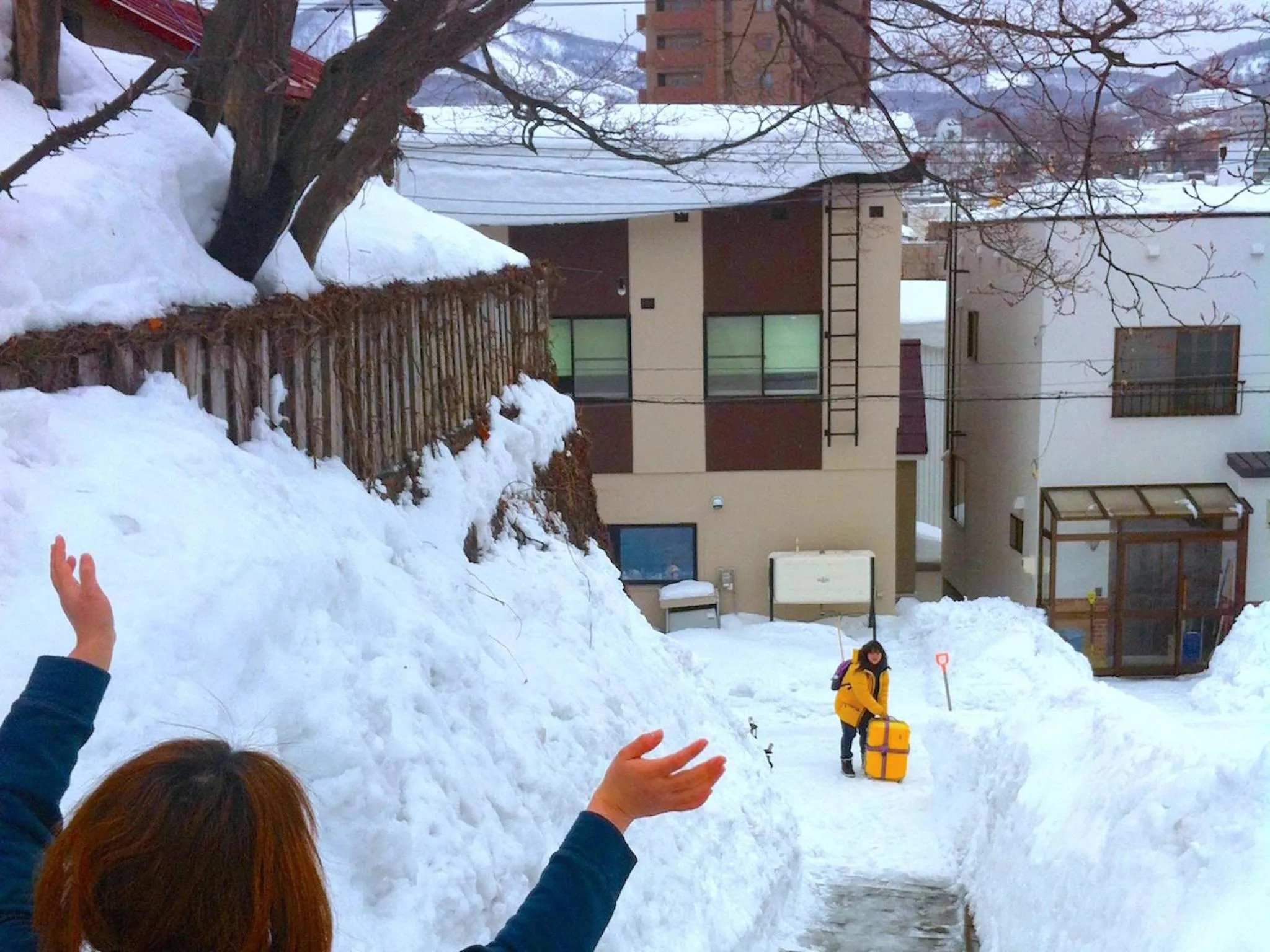 Winter in The Otaornai Backpacker's Hostel Morinoki