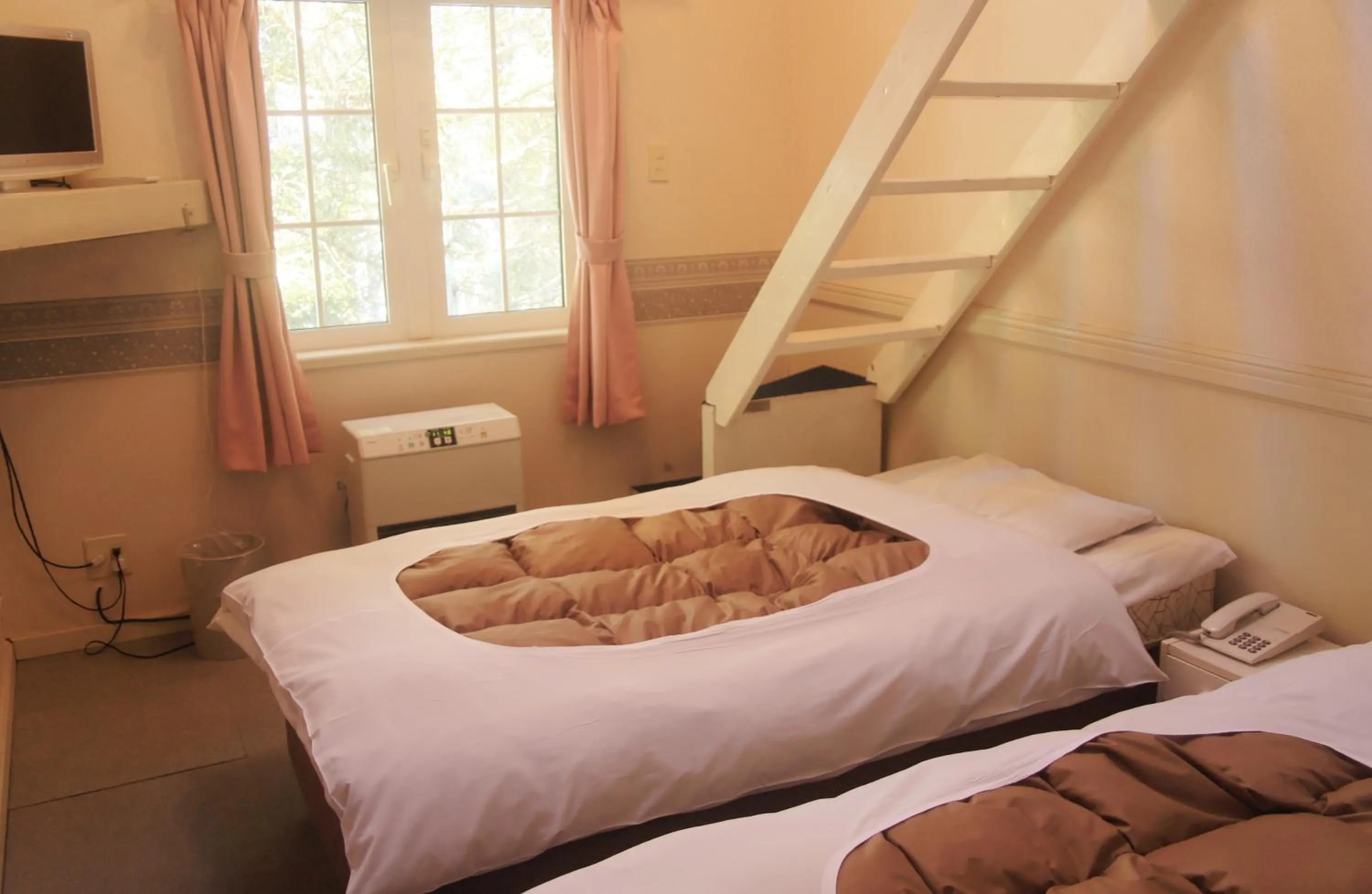 Photo of the whole room in Hakuba Sun Valley Hotel