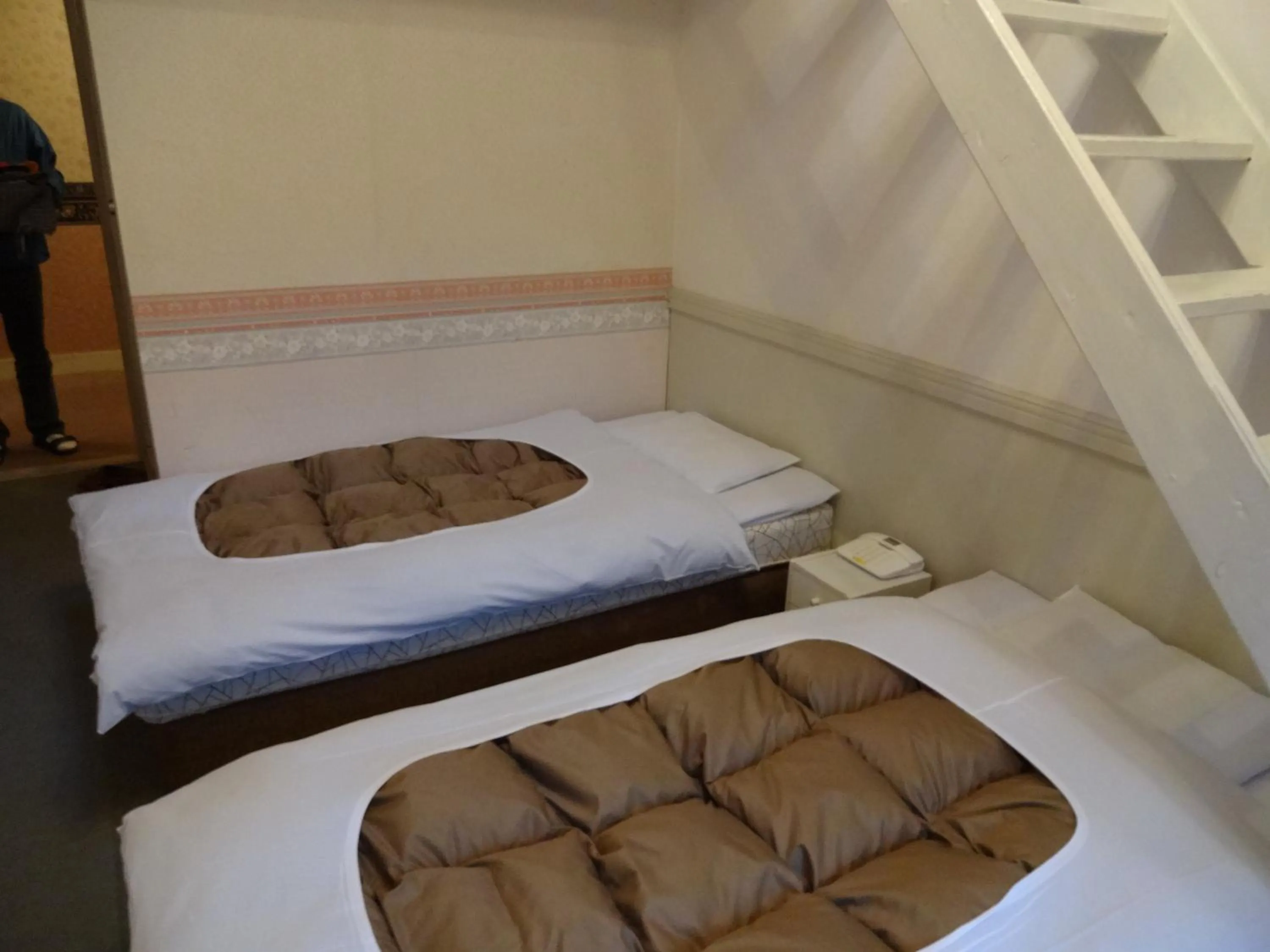 Photo of the whole room in Hakuba Sun Valley Hotel