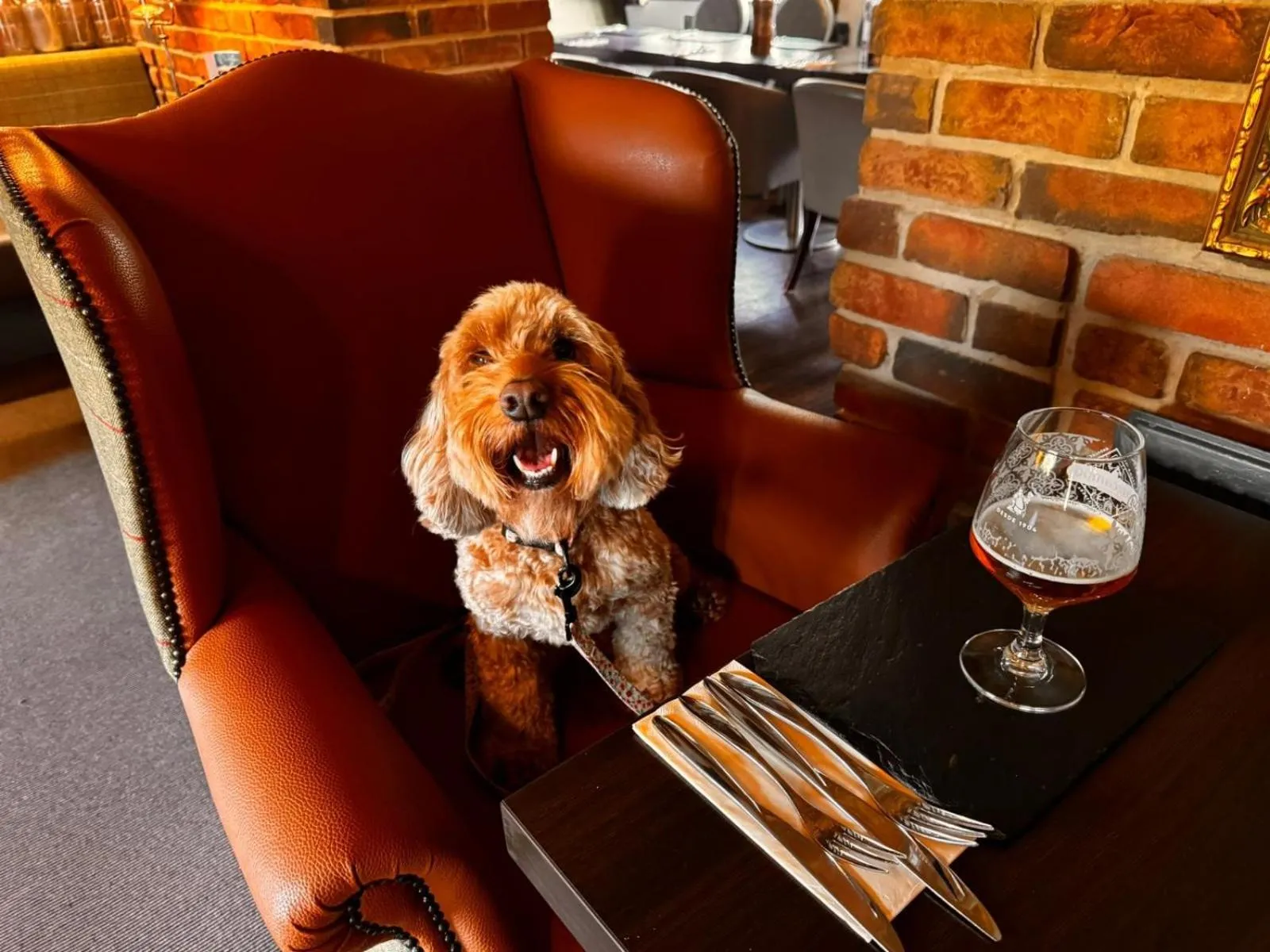 Pets in The Ashbourne Hotel, BW Signature Collection