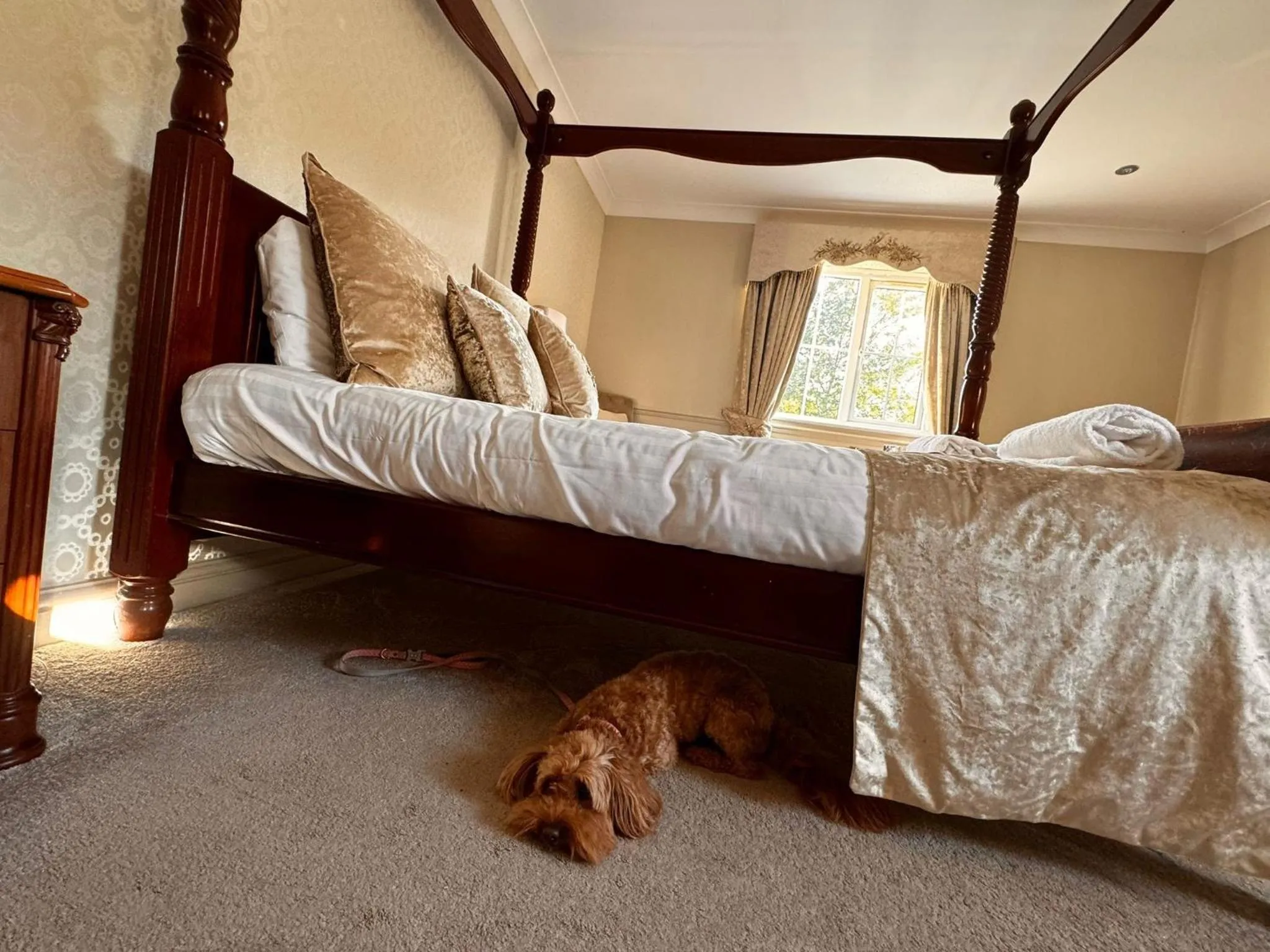 Bed in The Ashbourne Hotel, BW Signature Collection