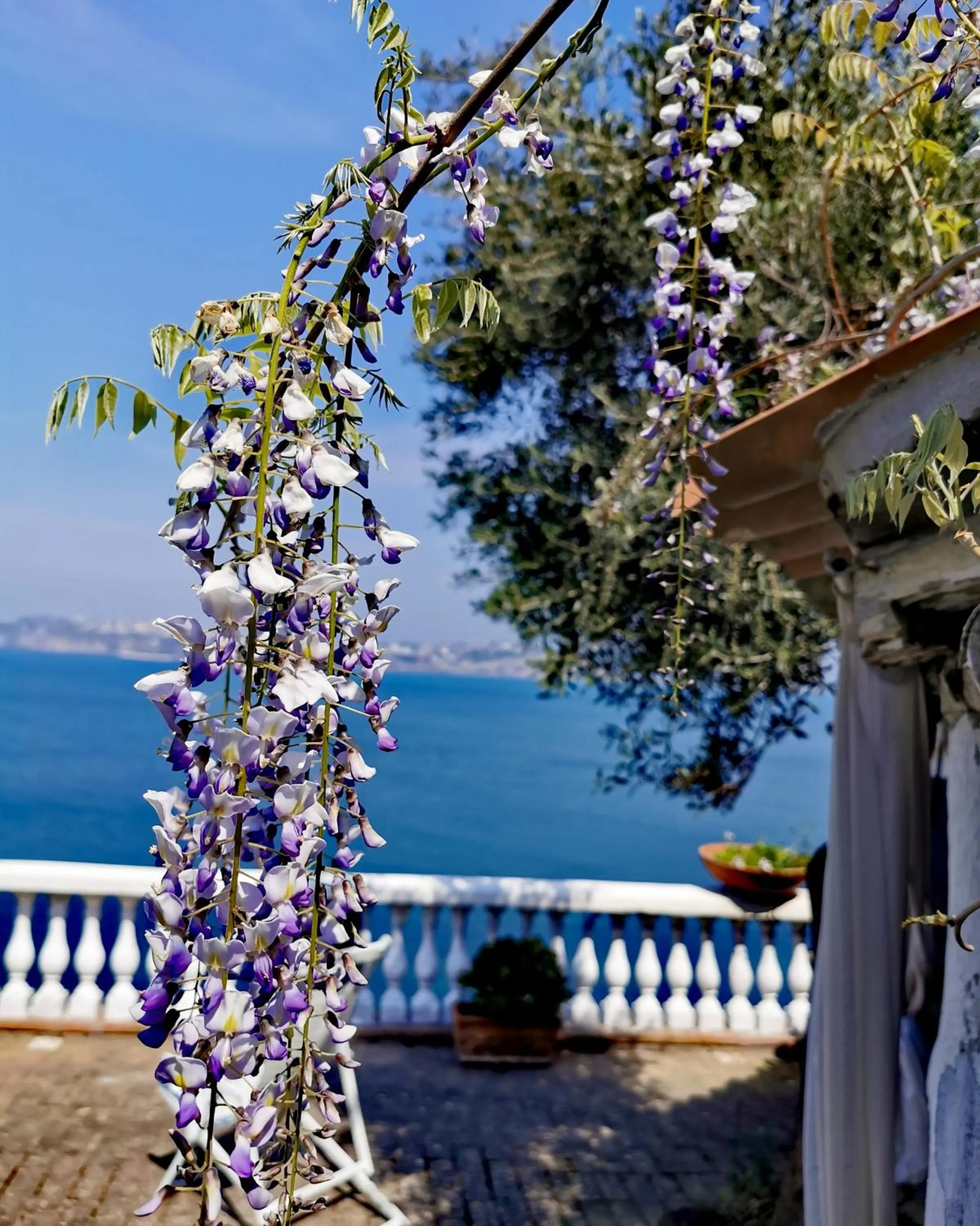 Property building in Summer Paradise