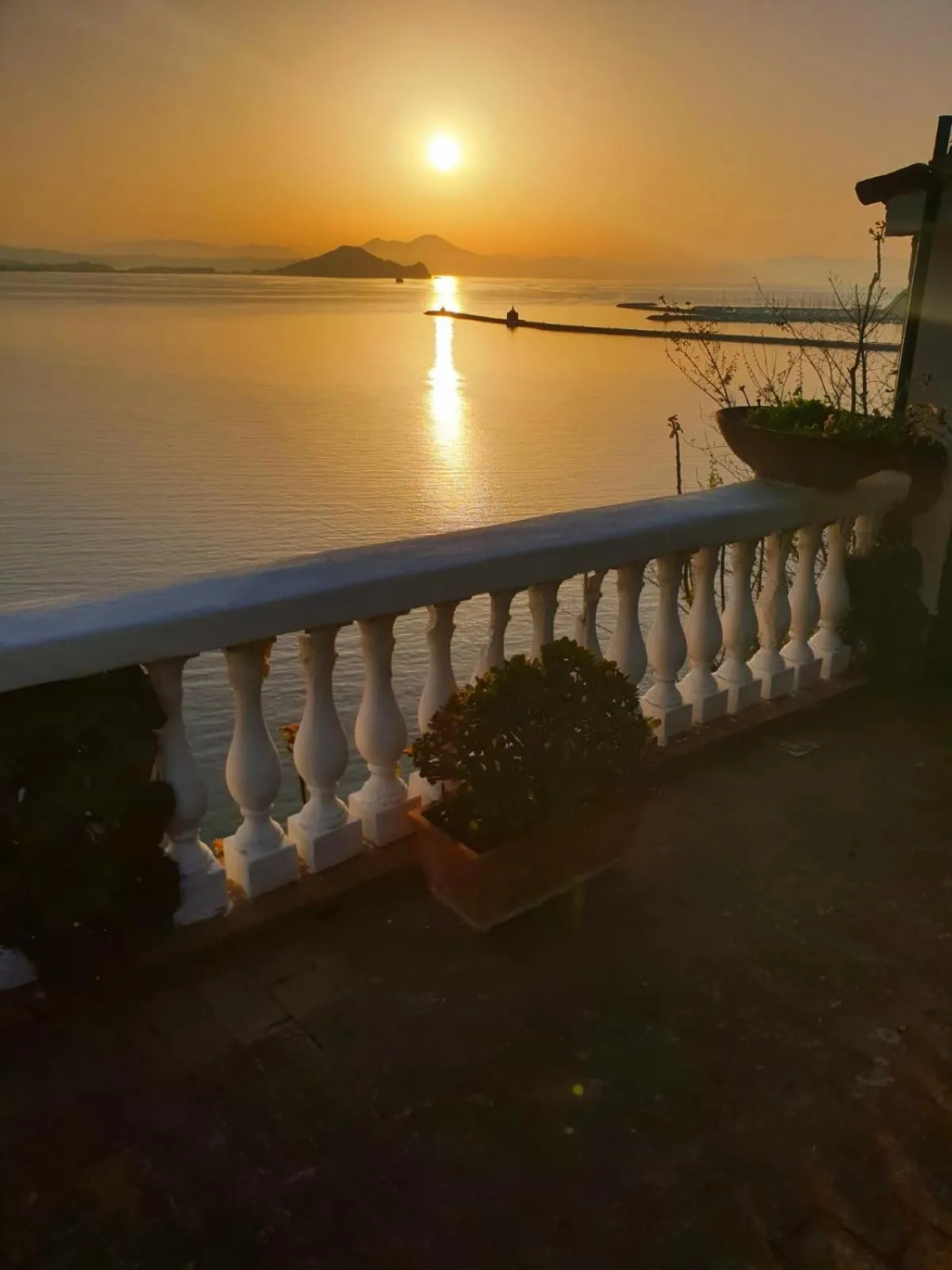 Balcony/Terrace in Summer Paradise