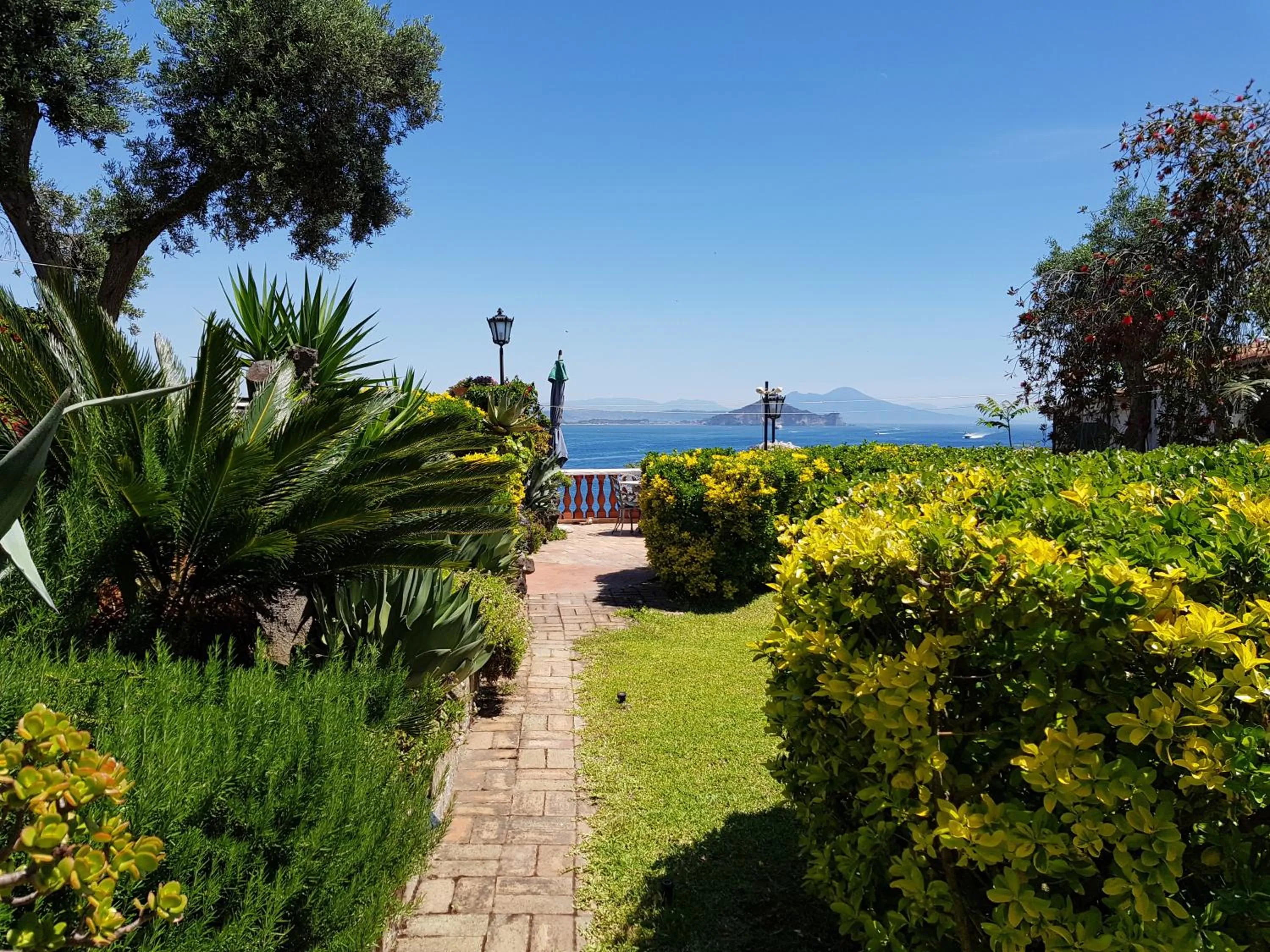 Garden in Summer Paradise