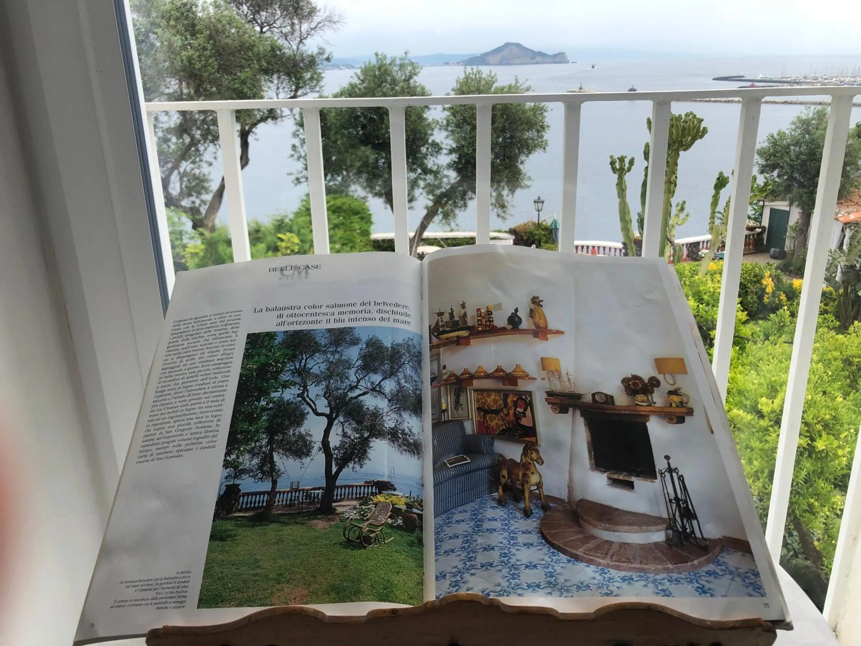 Garden in Summer Paradise